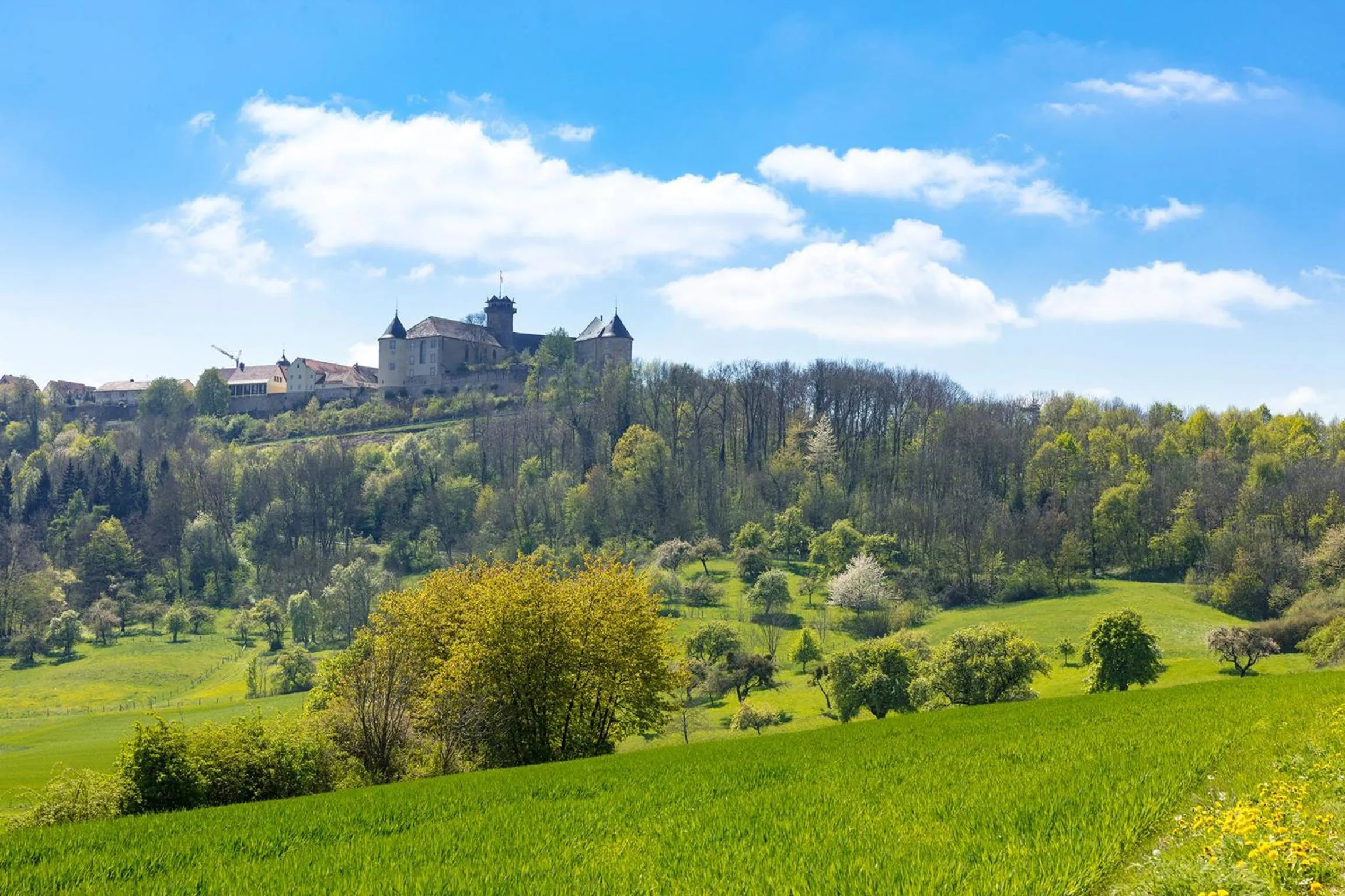 Nearby landmark in Landhotel Steigenhaus