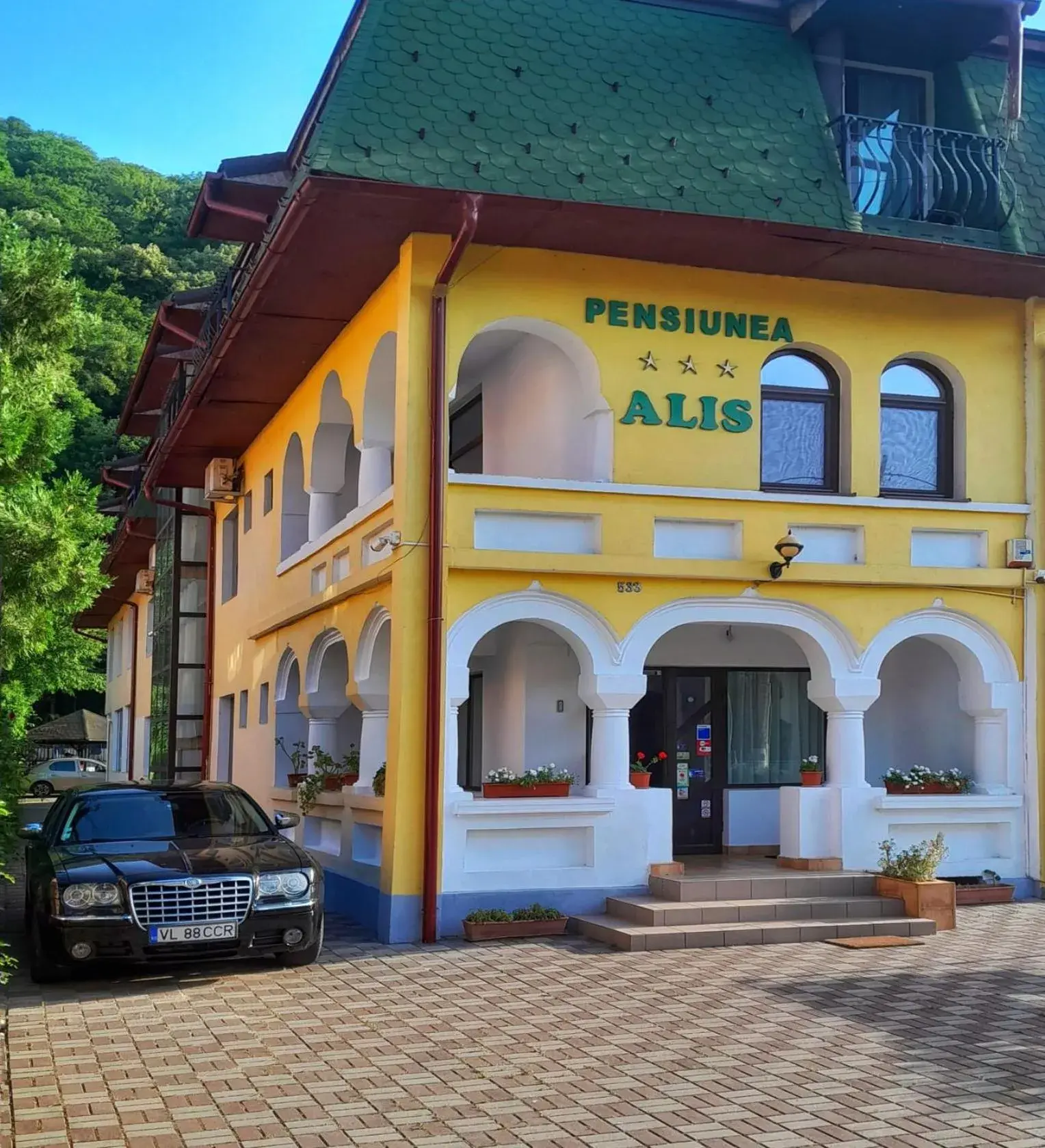 Pensiunea Alis Pensiunea Alis