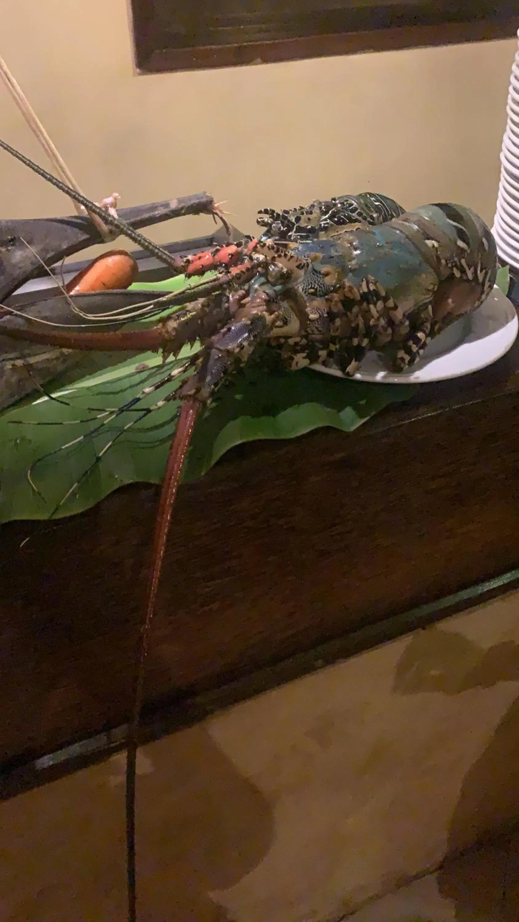 Restaurant/places to eat in VRclub Paje Palms Beach Resort