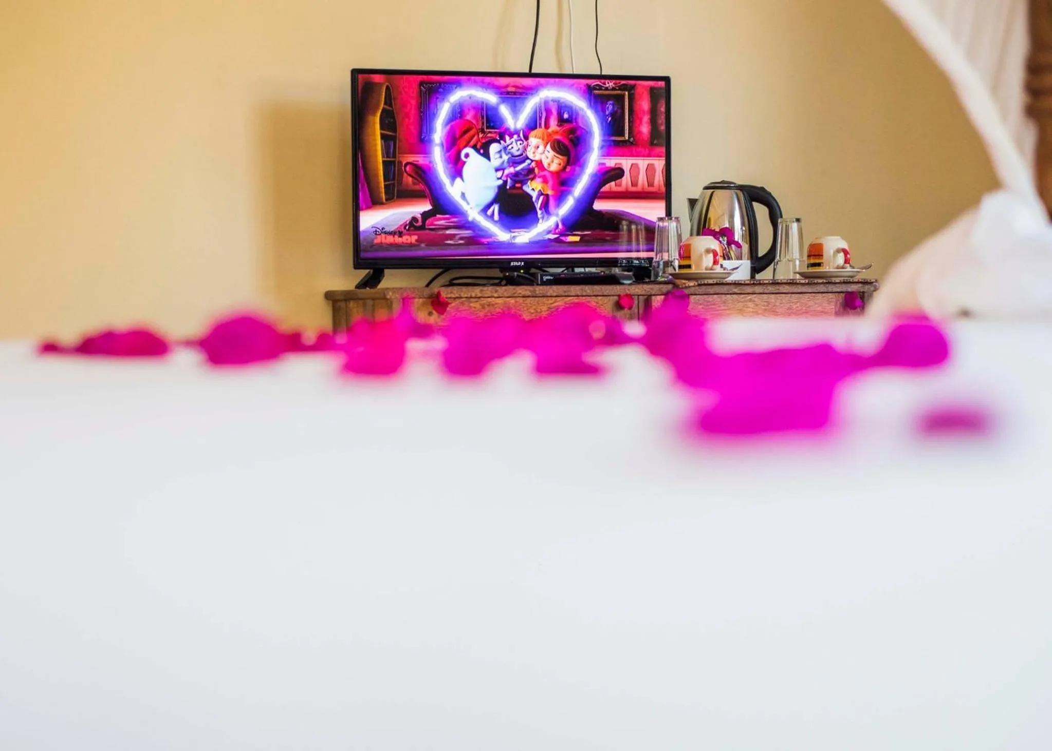 TV and multimedia in VRclub Paje Palms Beach Resort