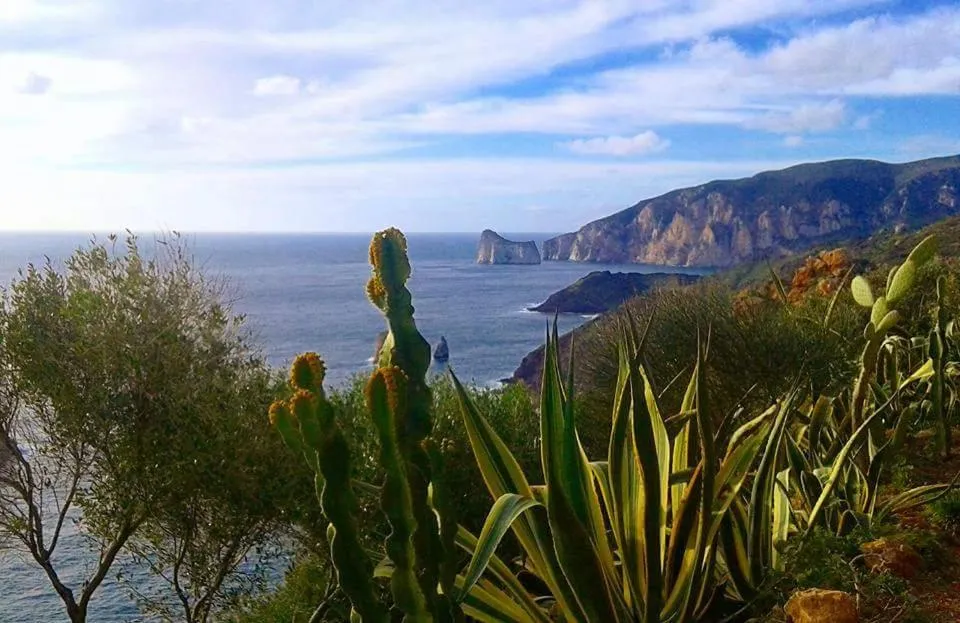 Restaurant/places to eat in B&B Santa Barbara