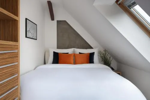 Old Town Apartment Spilberk by goodnite cz