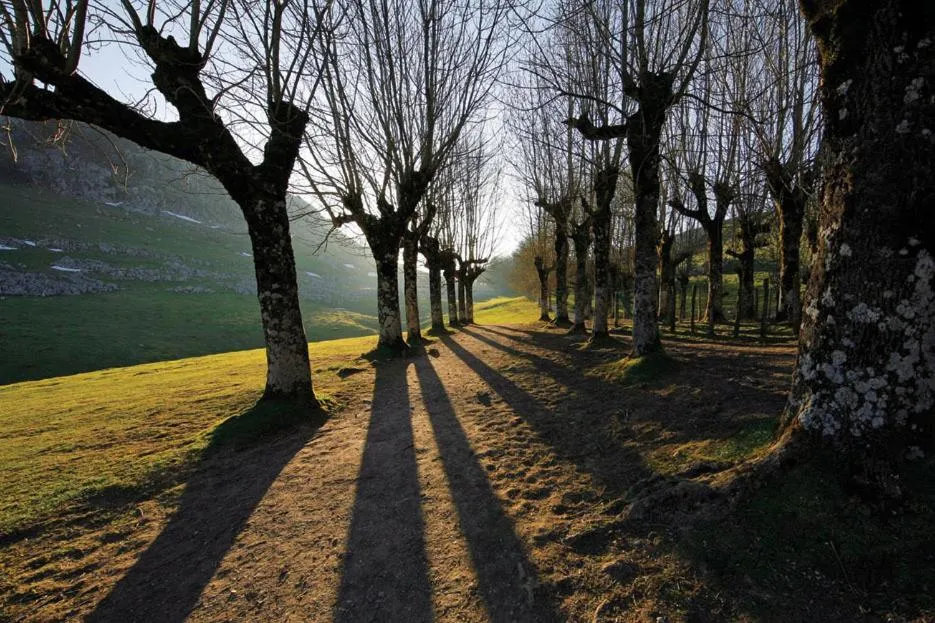 Hiking in Iraipe Santuario de Arantzazu Hotel