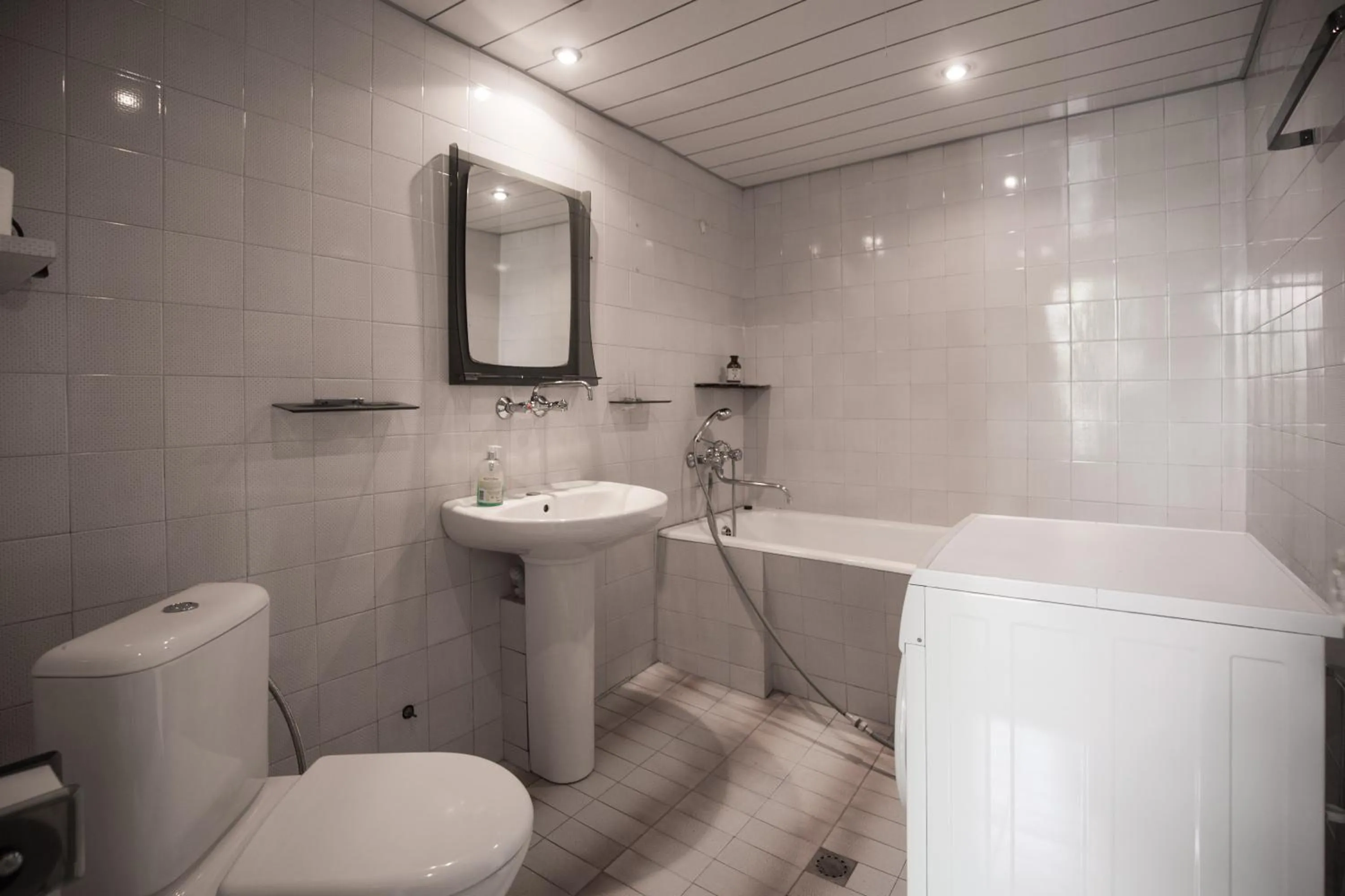 Toilet in Mary's Apartment