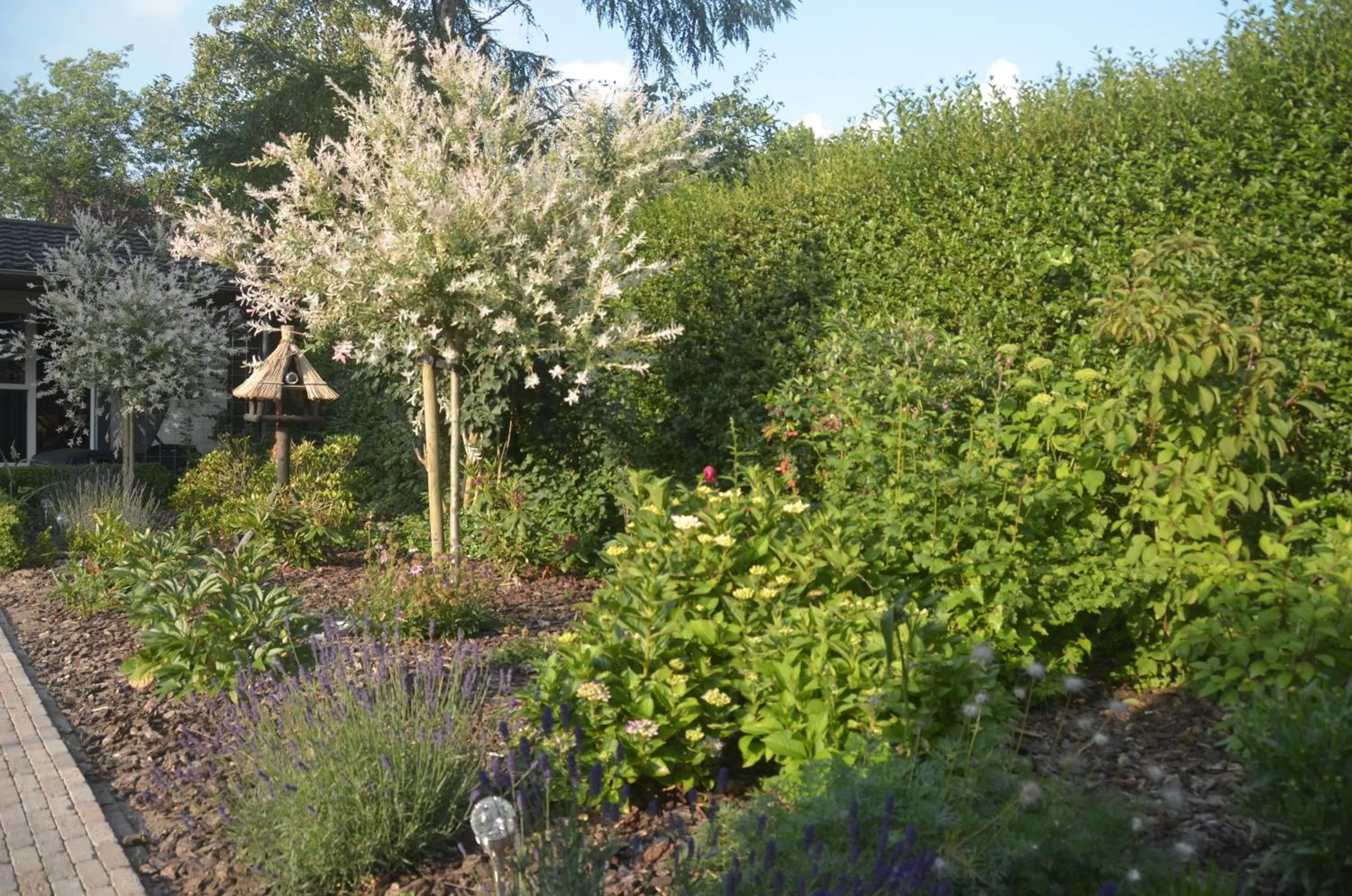 Garden view in Bed and Breakfast Hattem