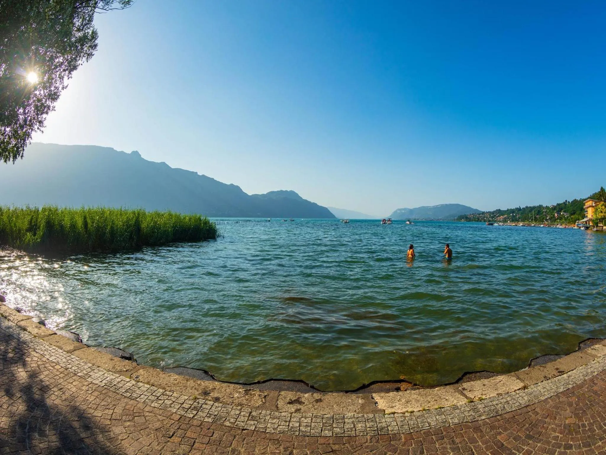 Other in Noemys Viviers-du-lac