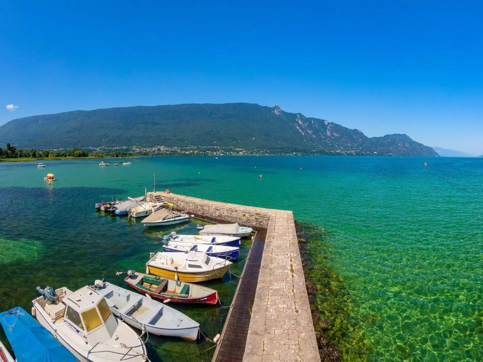 Other in Noemys Viviers-du-lac