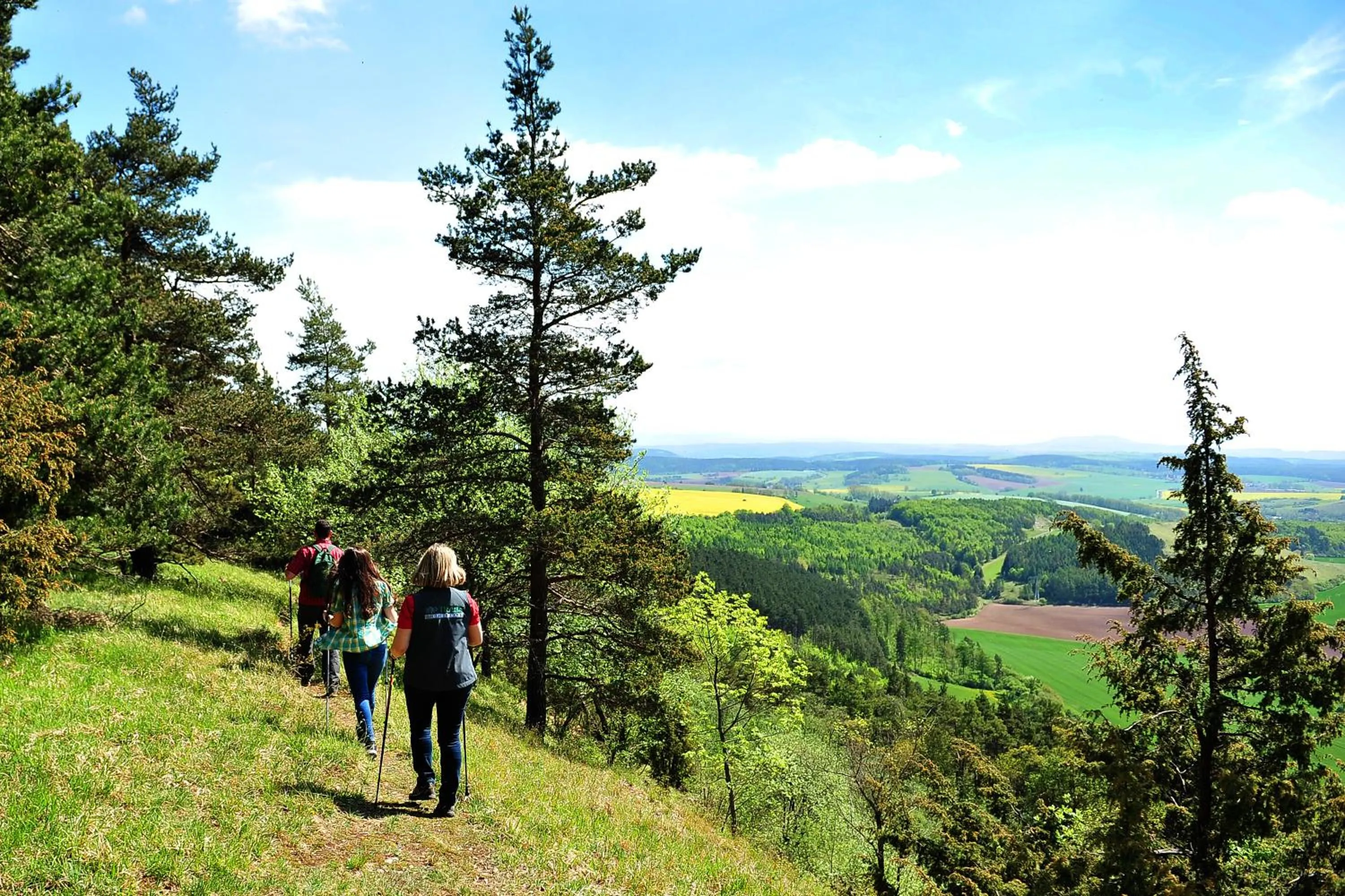 Natural landscape in Landhotel Zur Grünen Kutte