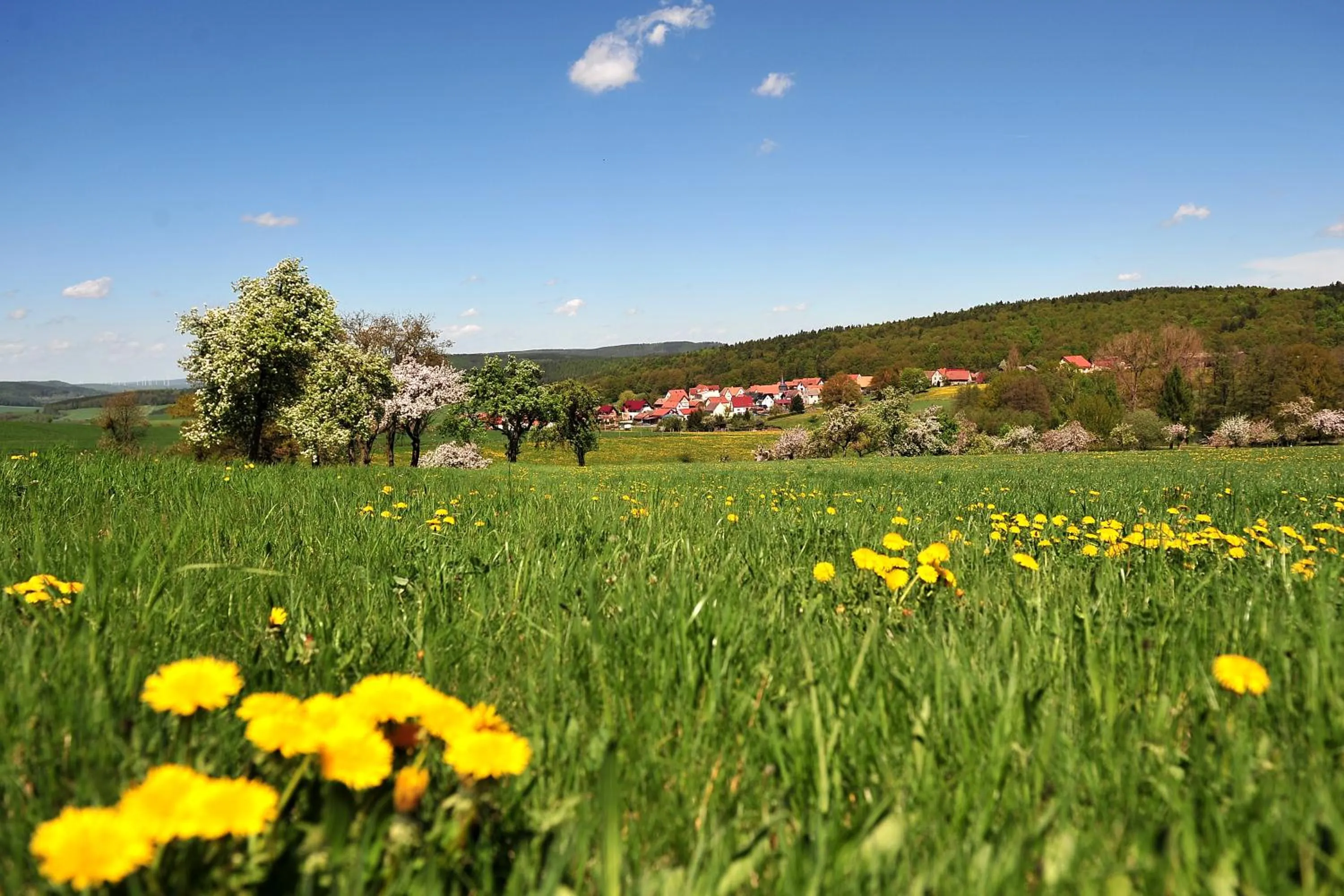 Natural landscape in Landhotel Zur Grünen Kutte