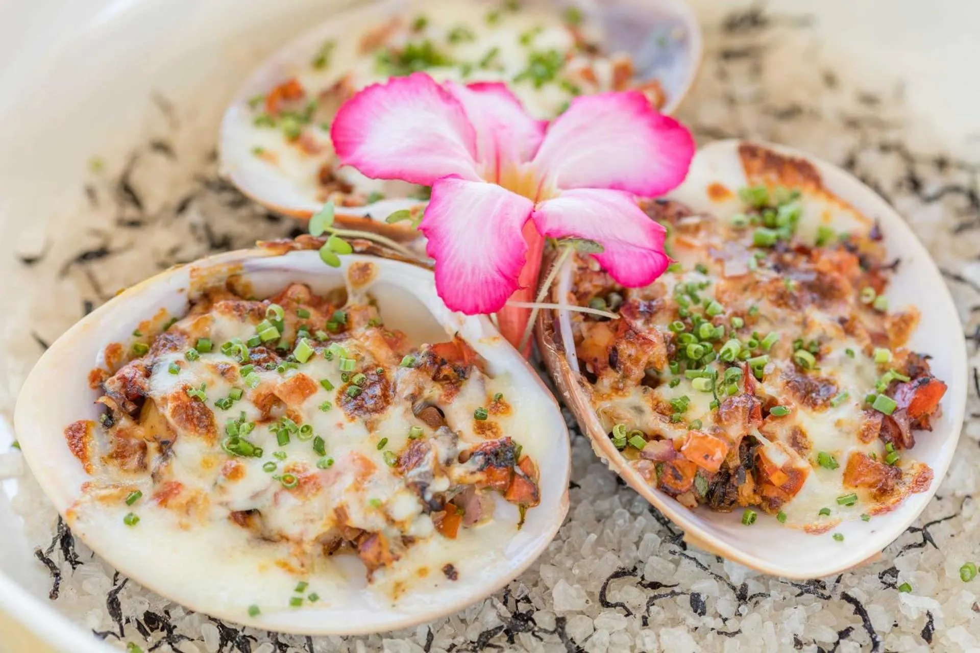 Food in The Club at Solaz Luxury Villas