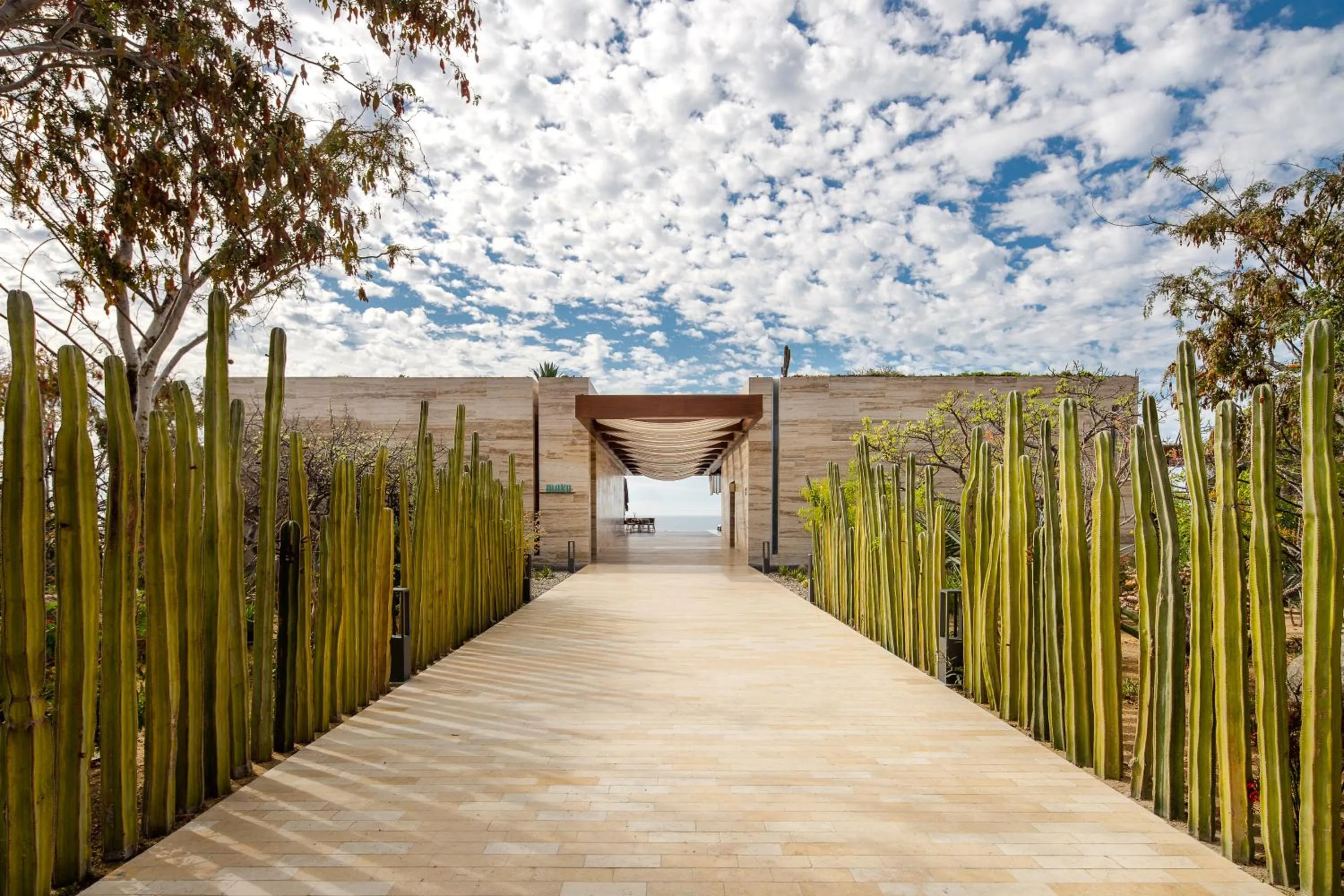 Garden in The Club at Solaz Luxury Villas