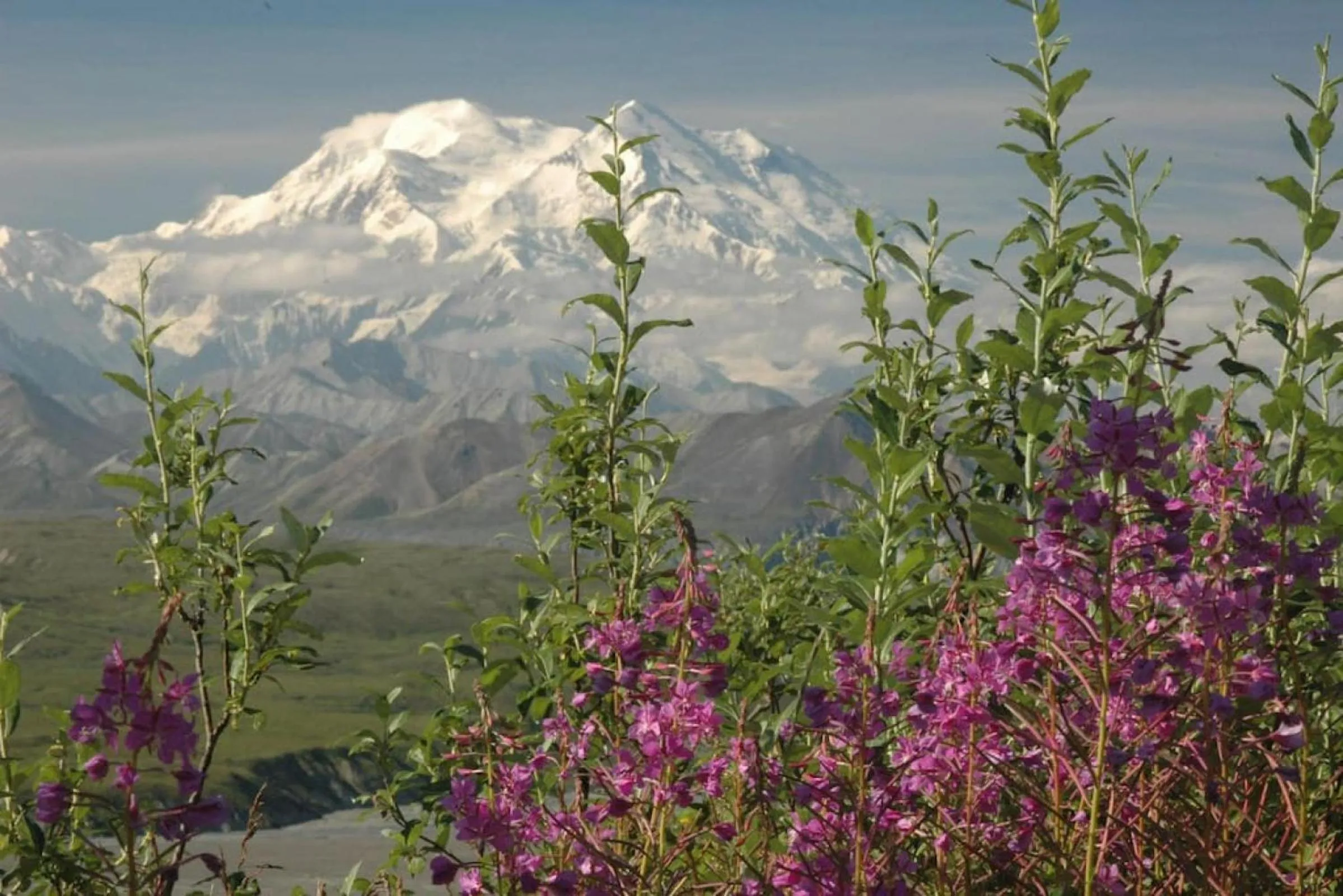 Denali Park 2 Bedroom Mom in Law