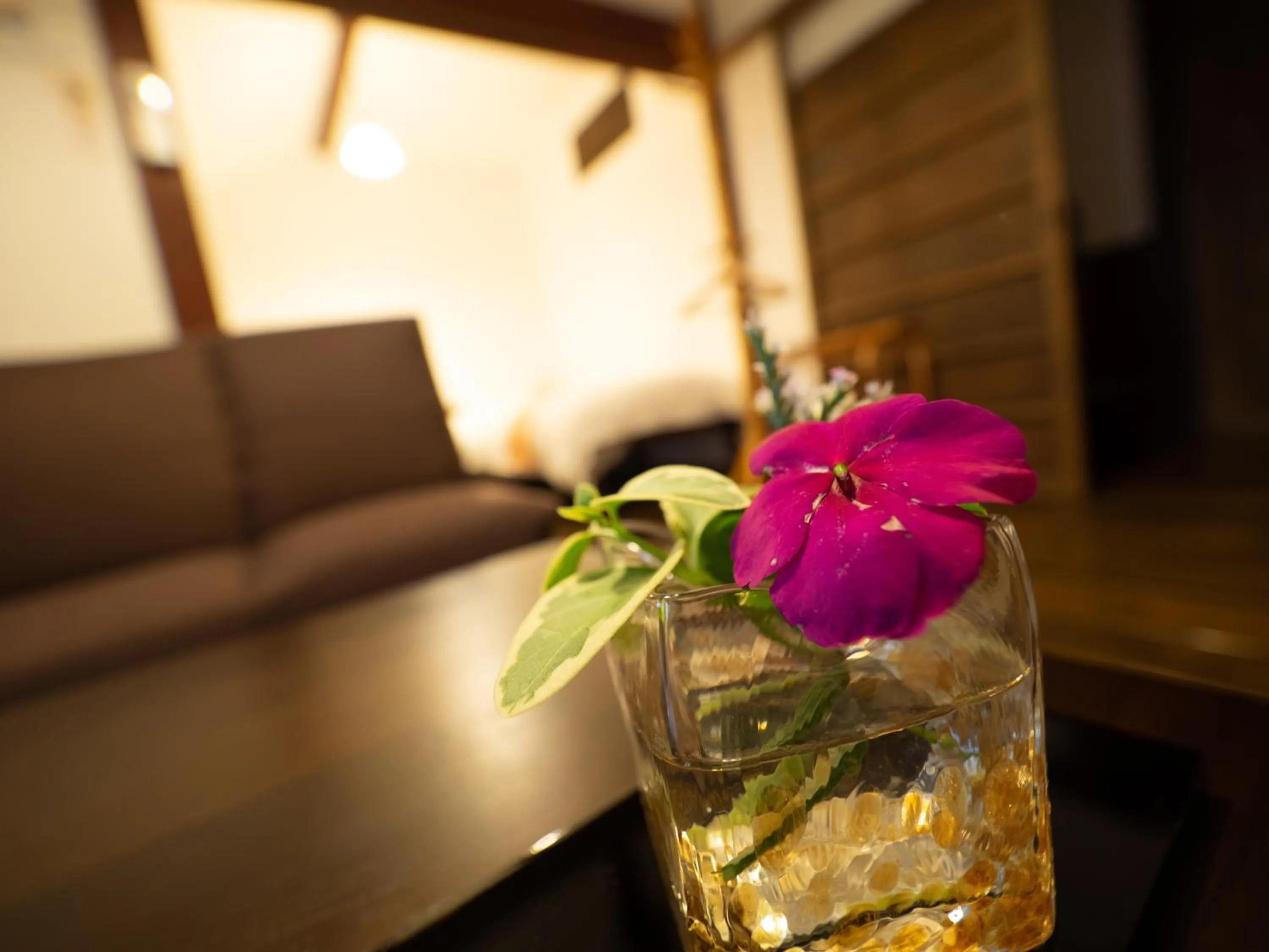 Inase Otsu Machiya Bed and Breakfast