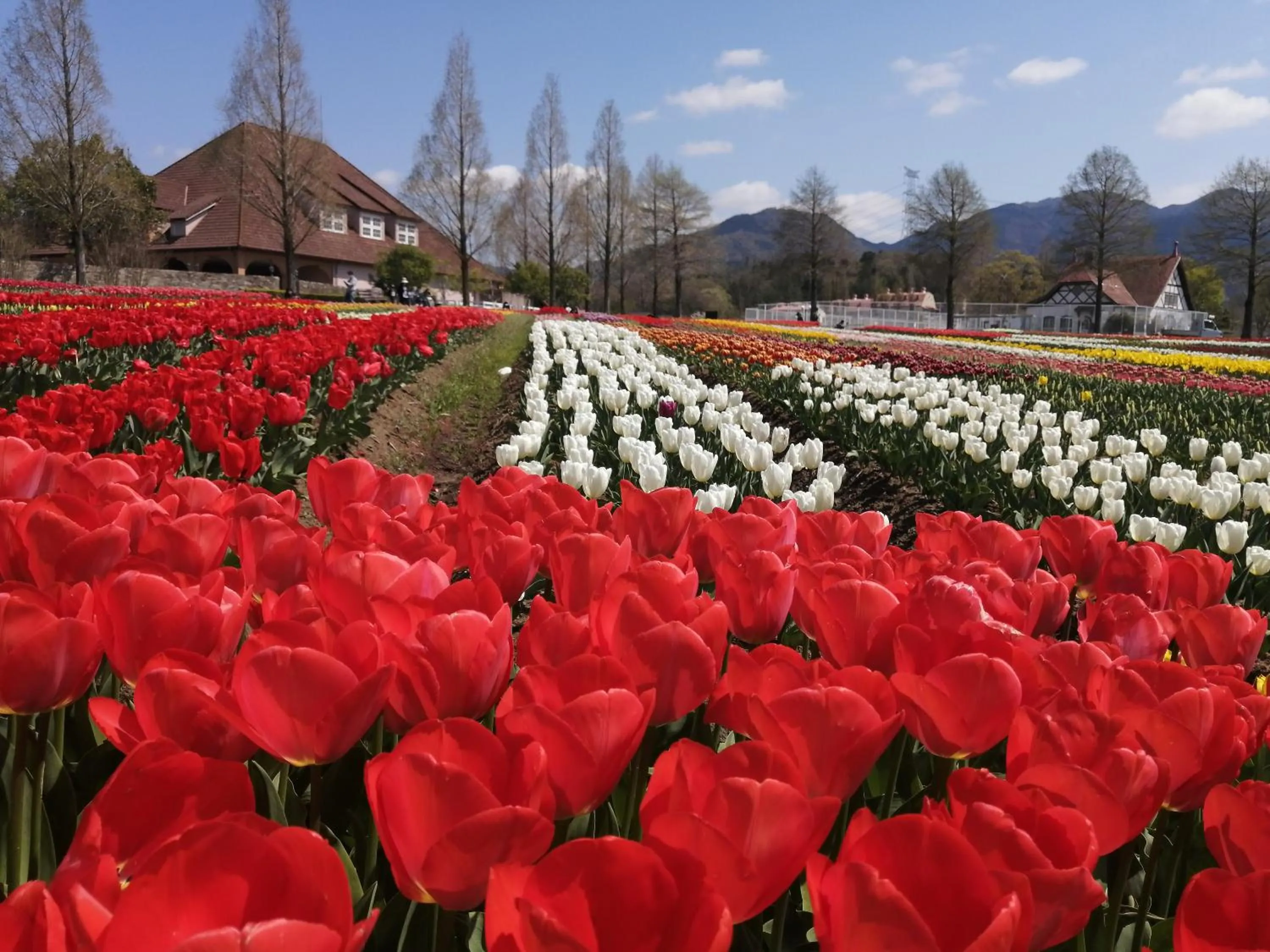 Nearby landmark in Vessel Inn Shigamoriyama Station