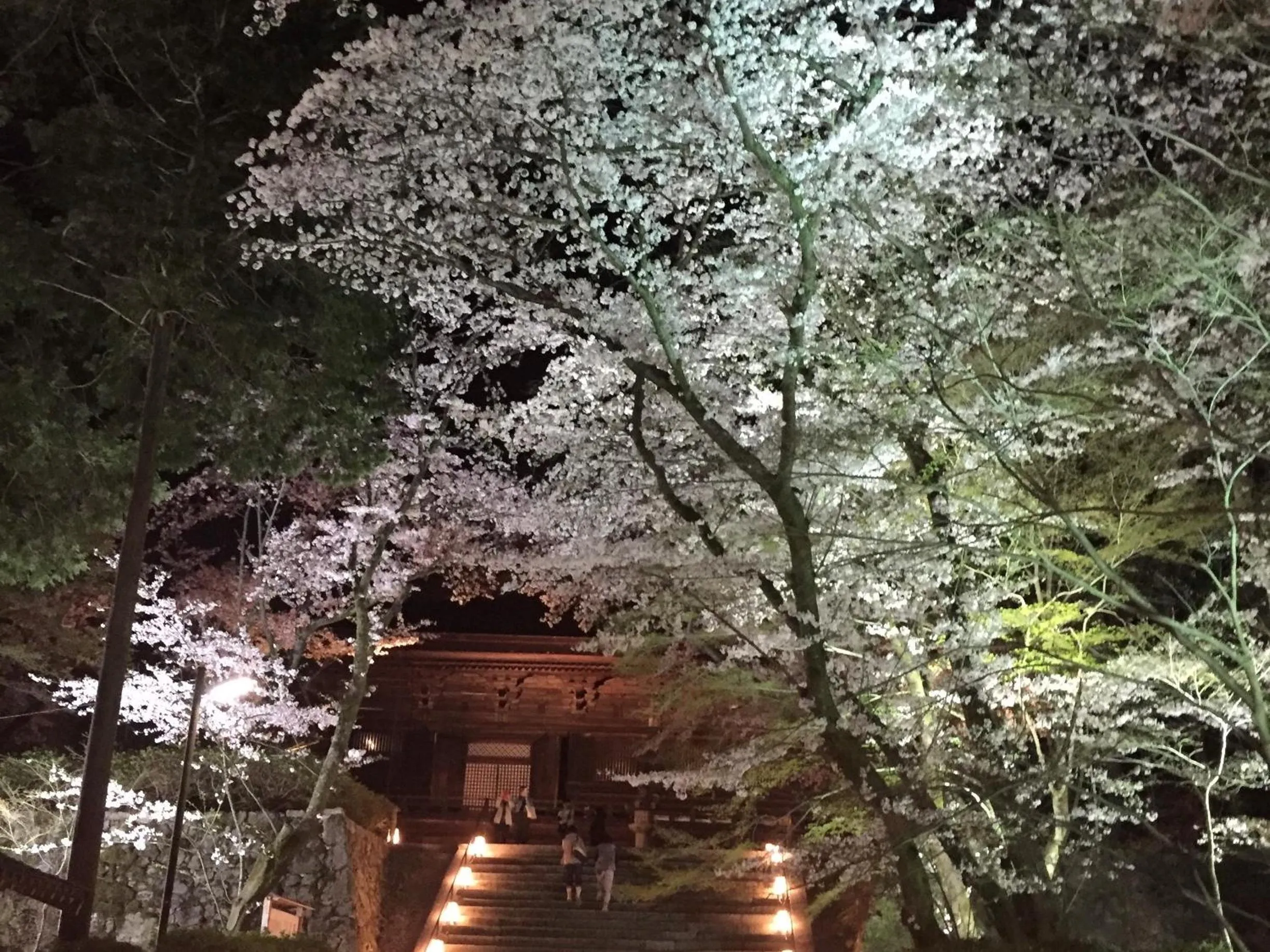 Nearby landmark in Vessel Inn Shigamoriyama Station