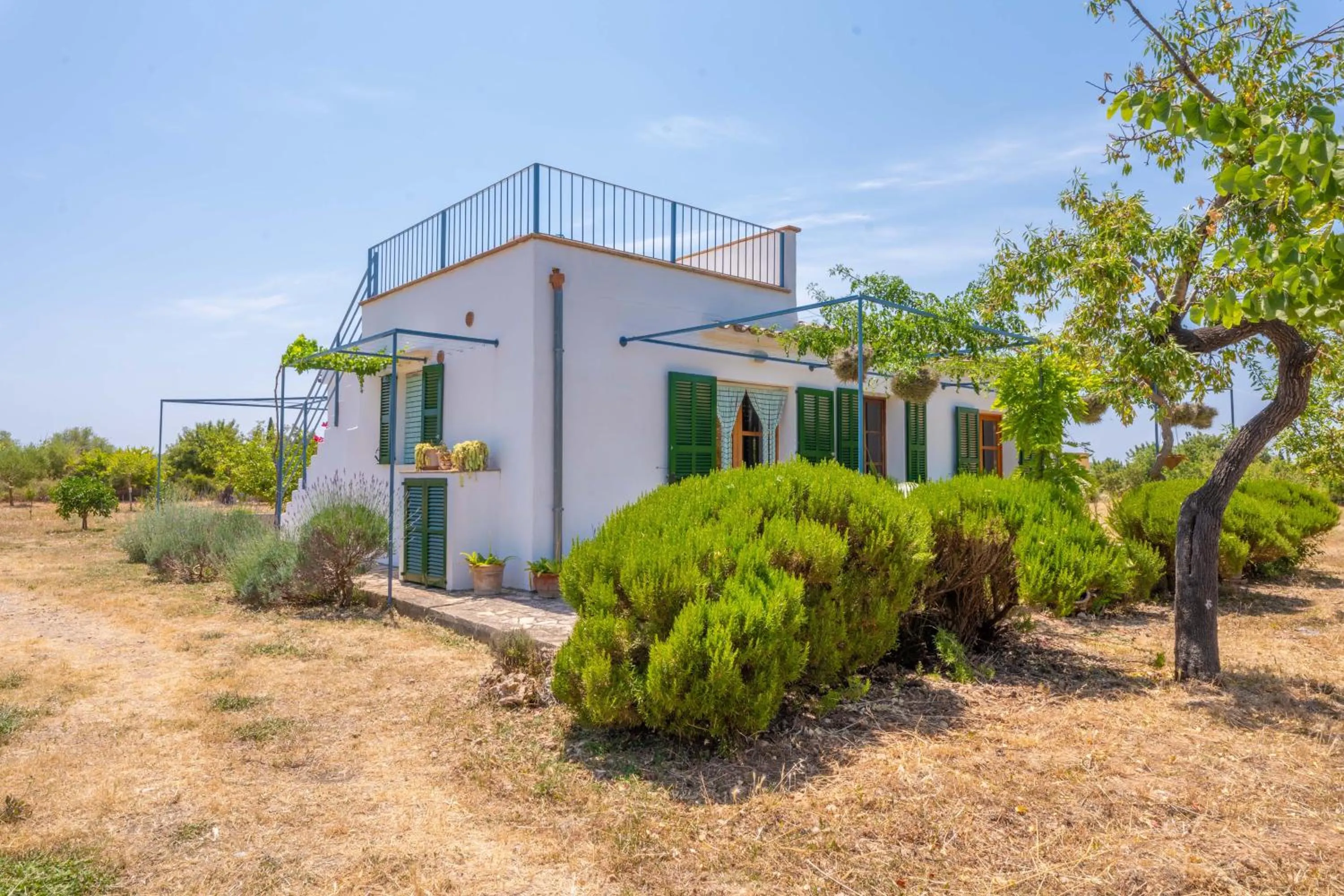 Natural landscape in Ses Planes -Ca Na Faustina-