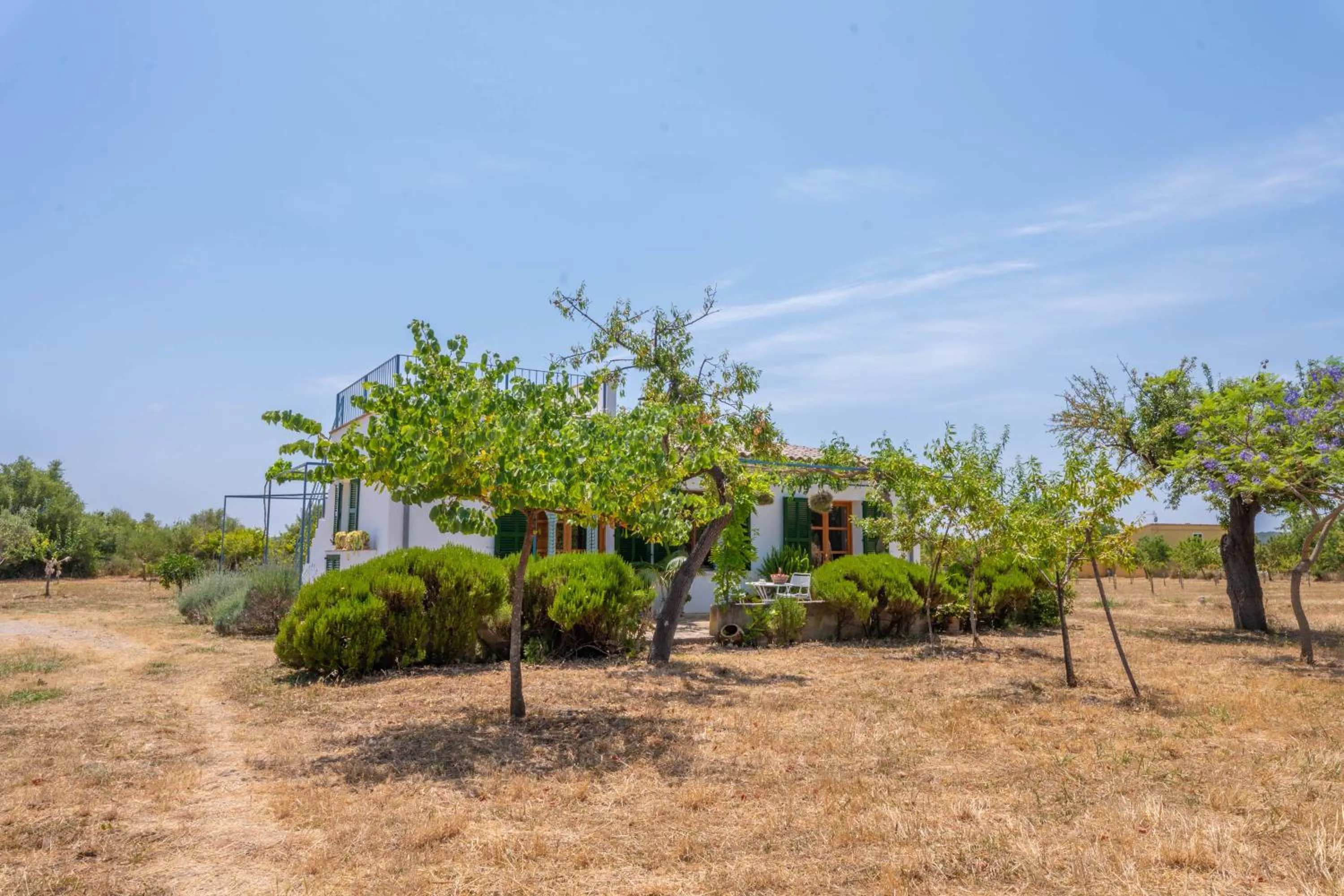 Ses Planes -Ca Na Faustina-