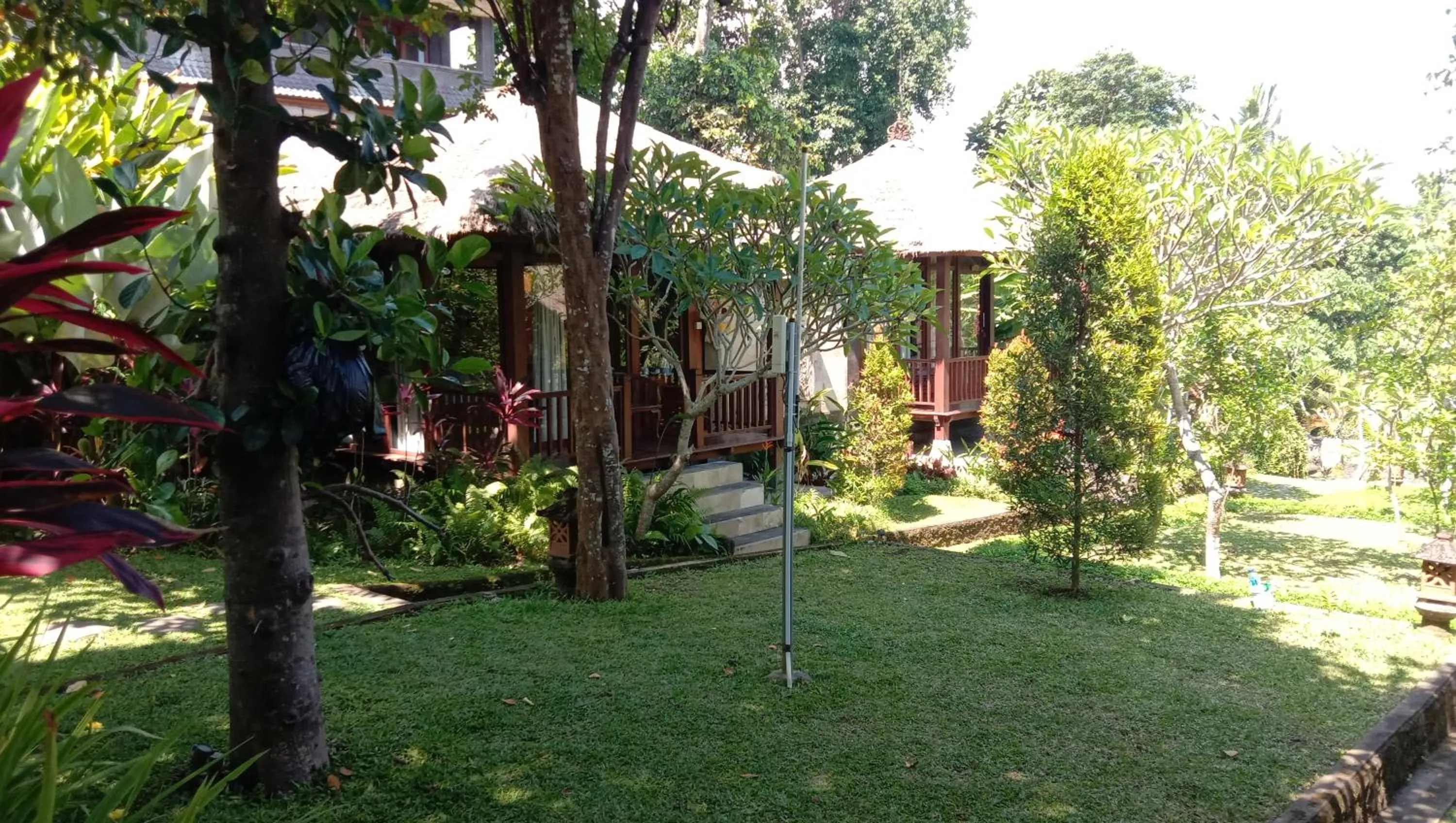 Garden view in Astawa House