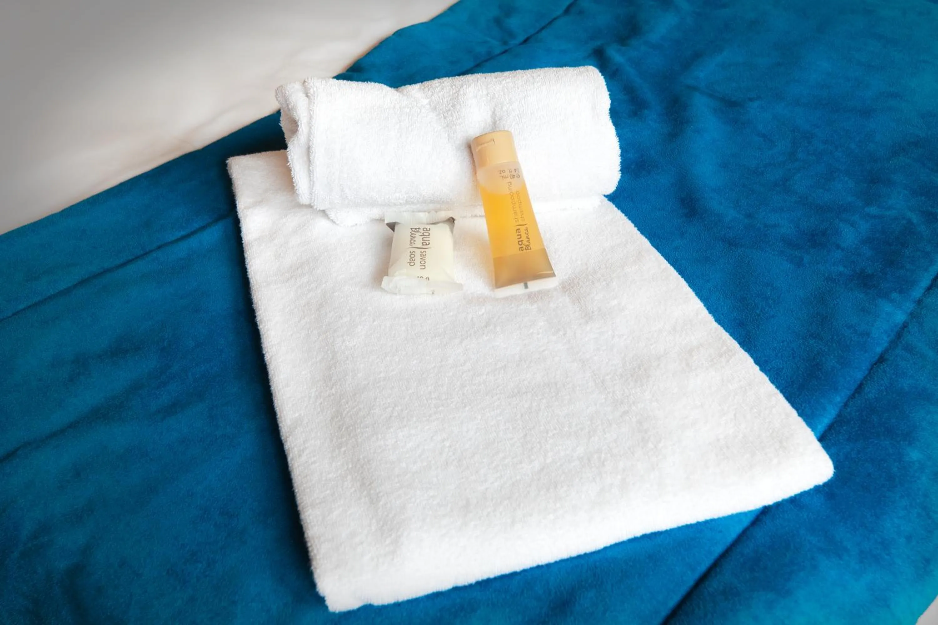 Bed in SOWELL Family Riviera