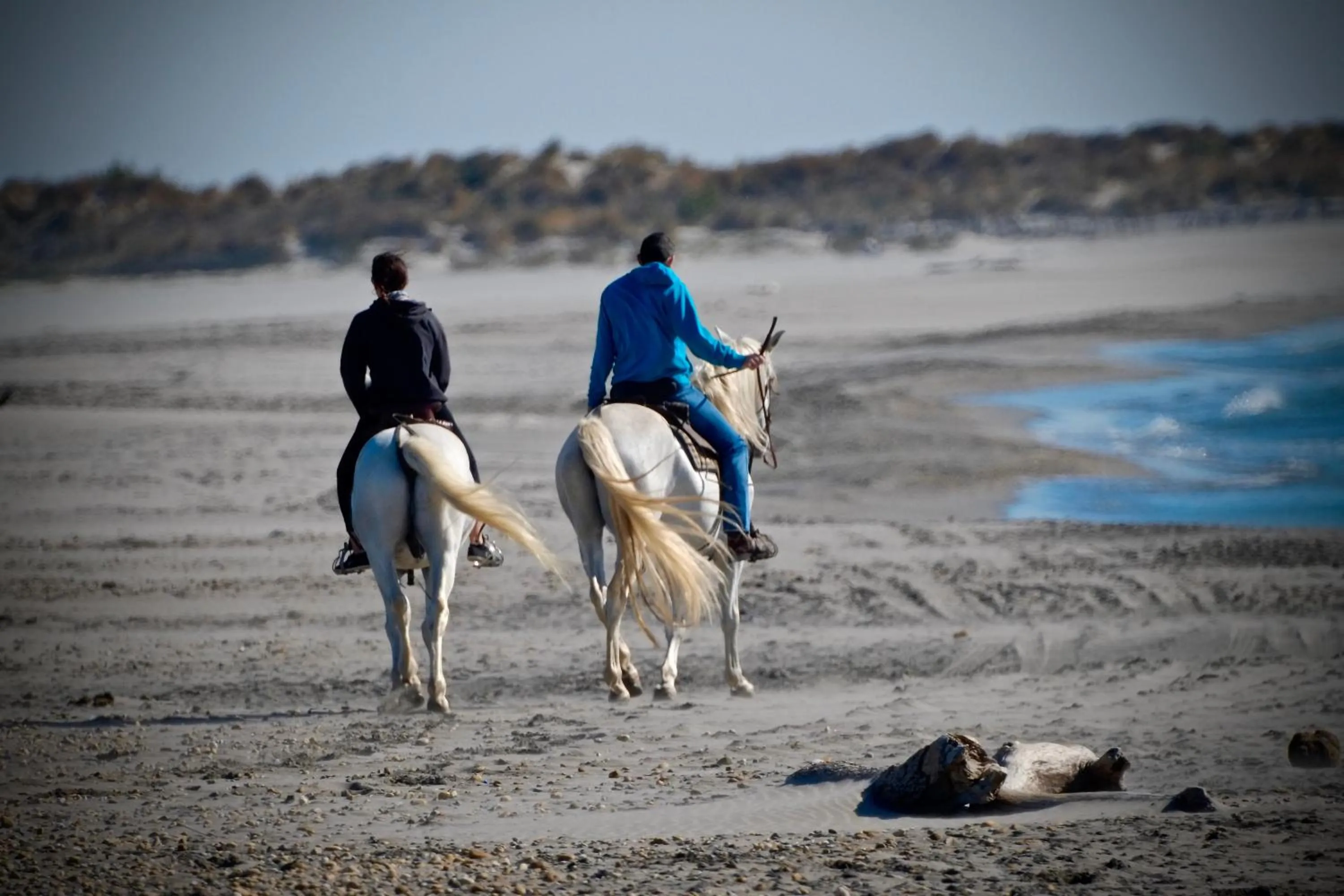 Horse-riding in Best Western Hôtel Aurélia