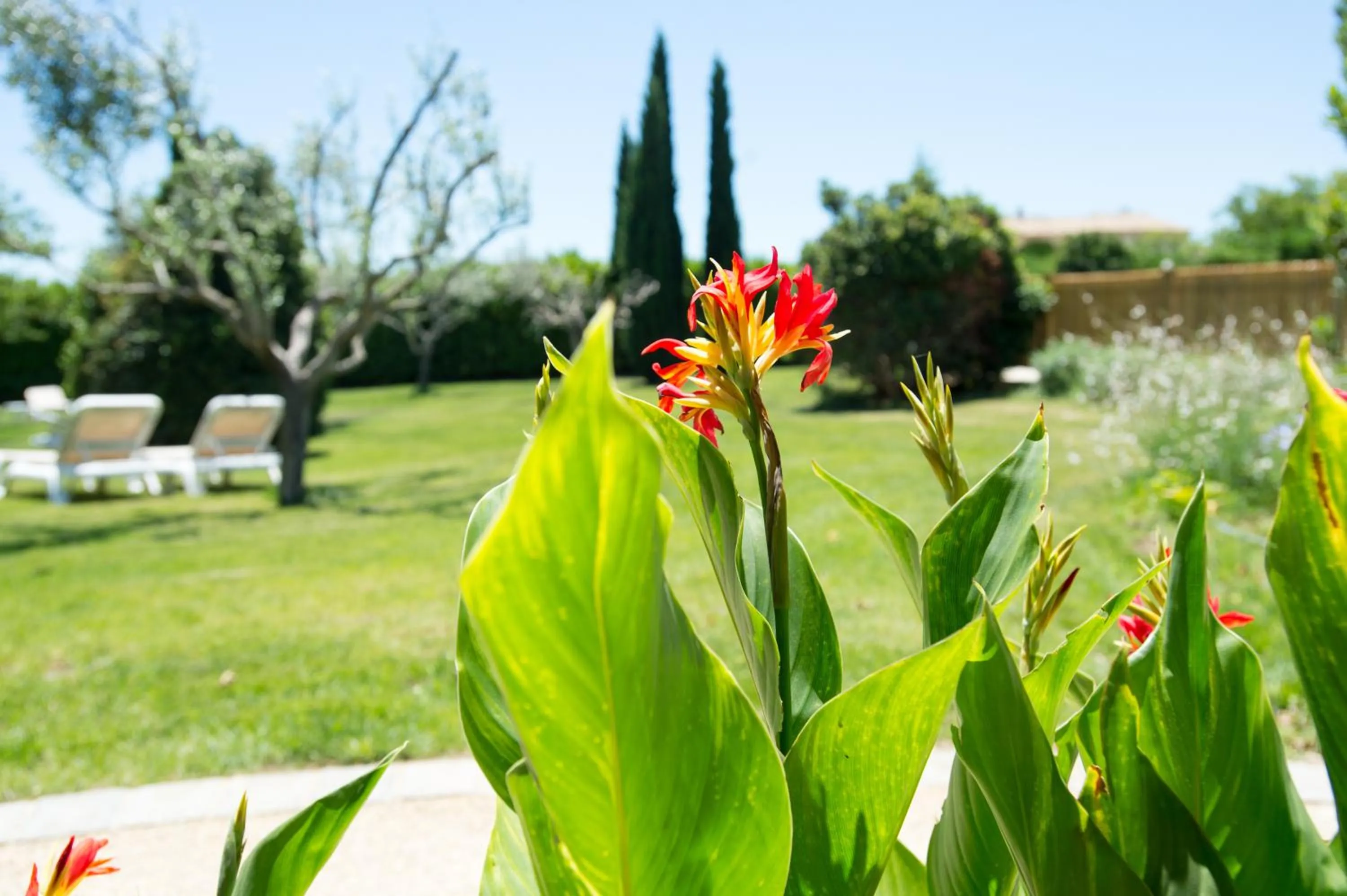 Garden in Best Western Hôtel Aurélia