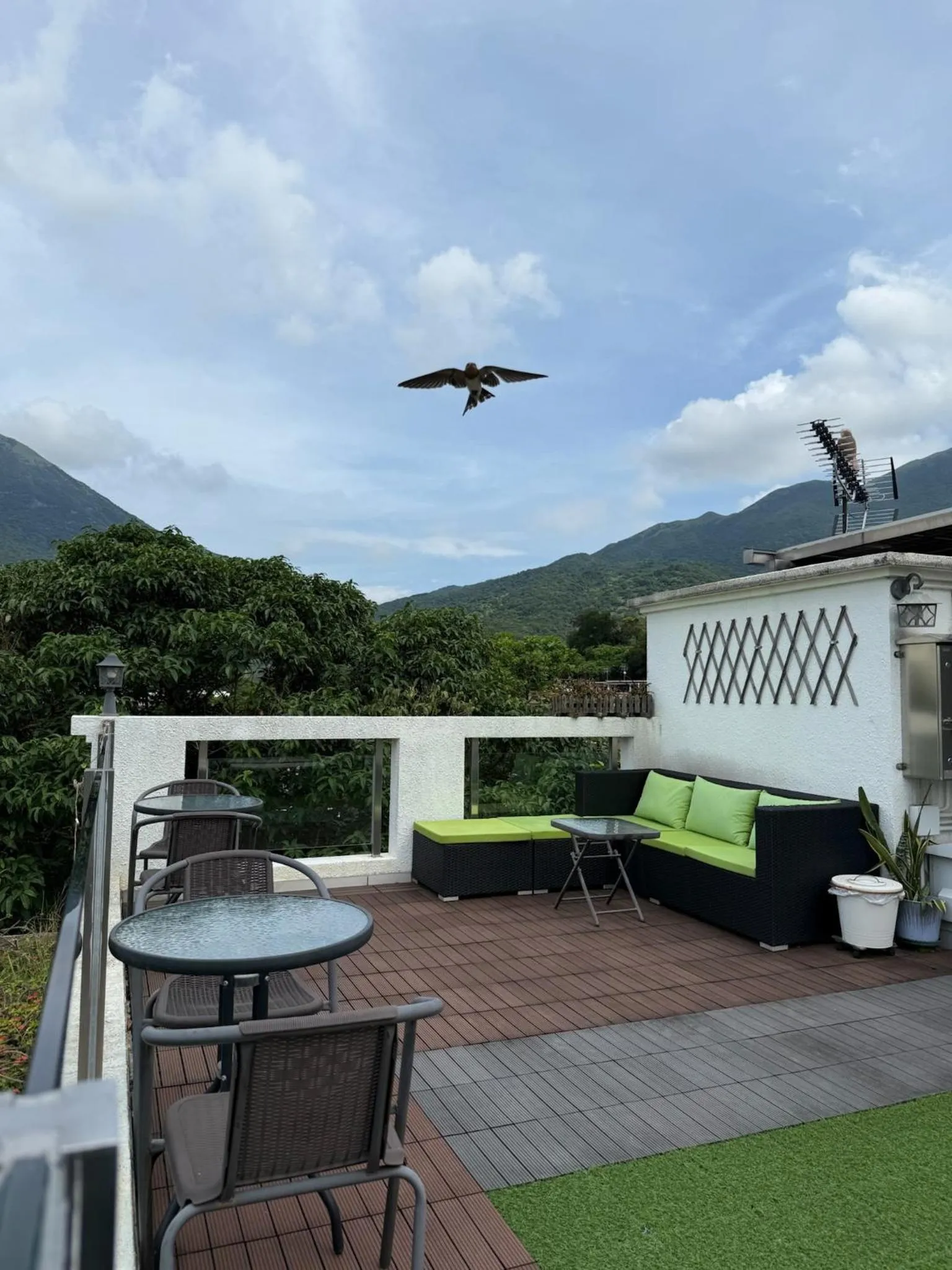 City Oasis Guesthouse