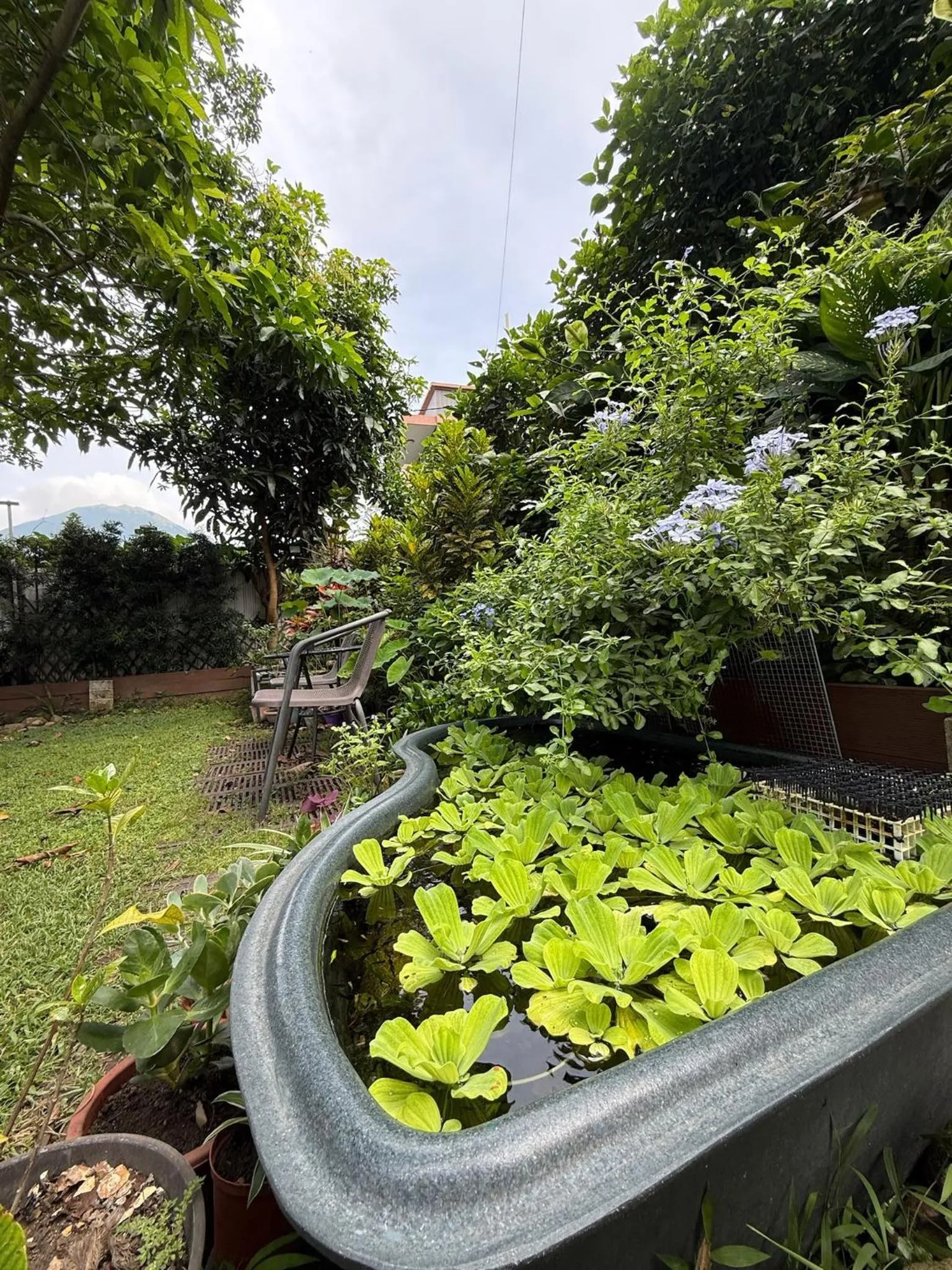 City Oasis Guesthouse