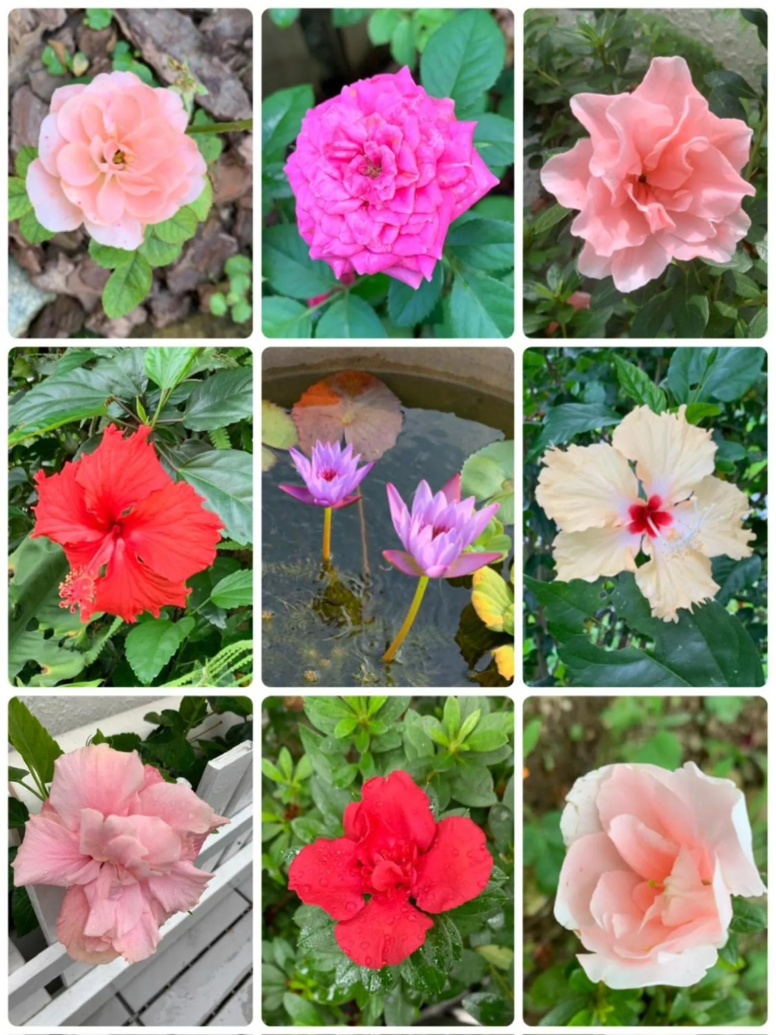 City Oasis Guesthouse