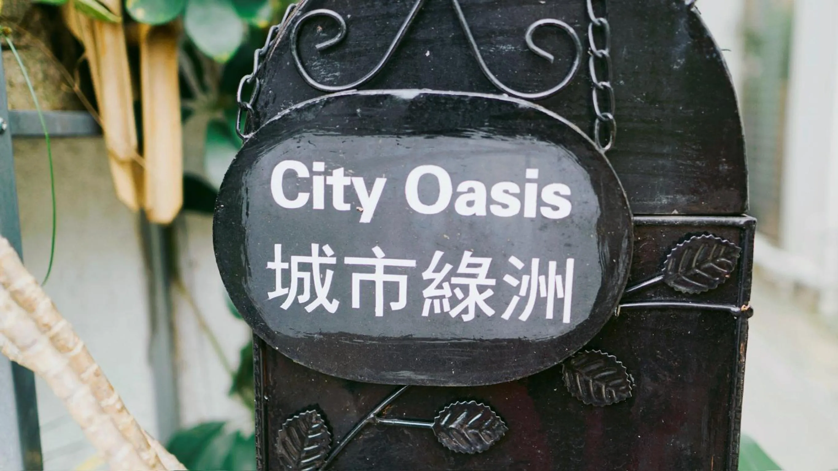 City Oasis Guesthouse