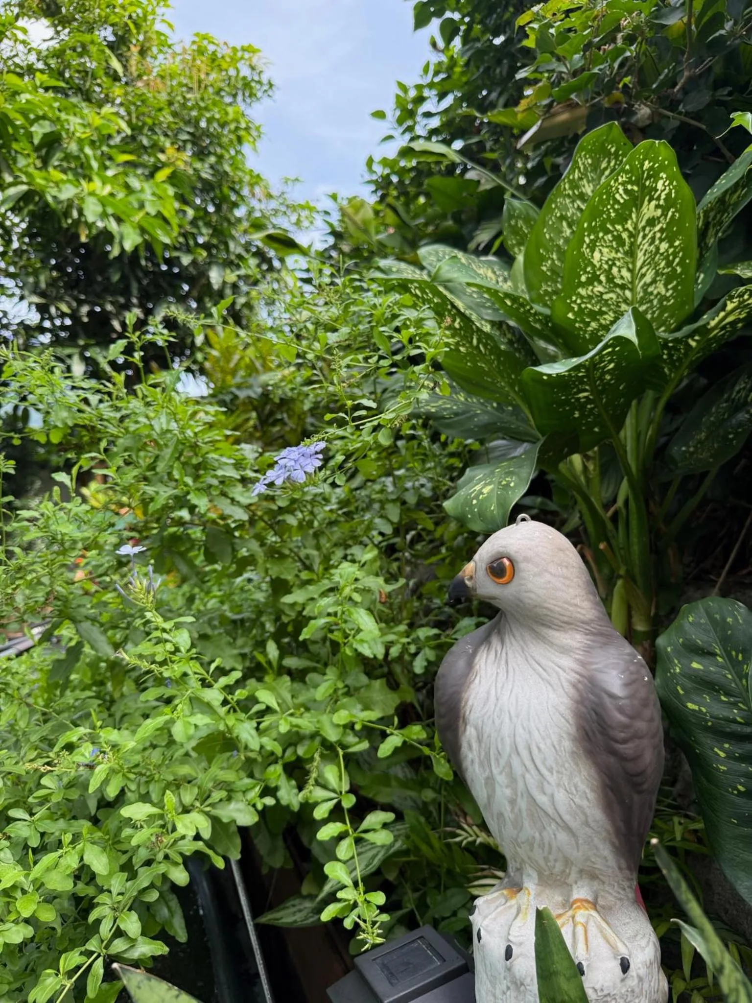 City Oasis Guesthouse