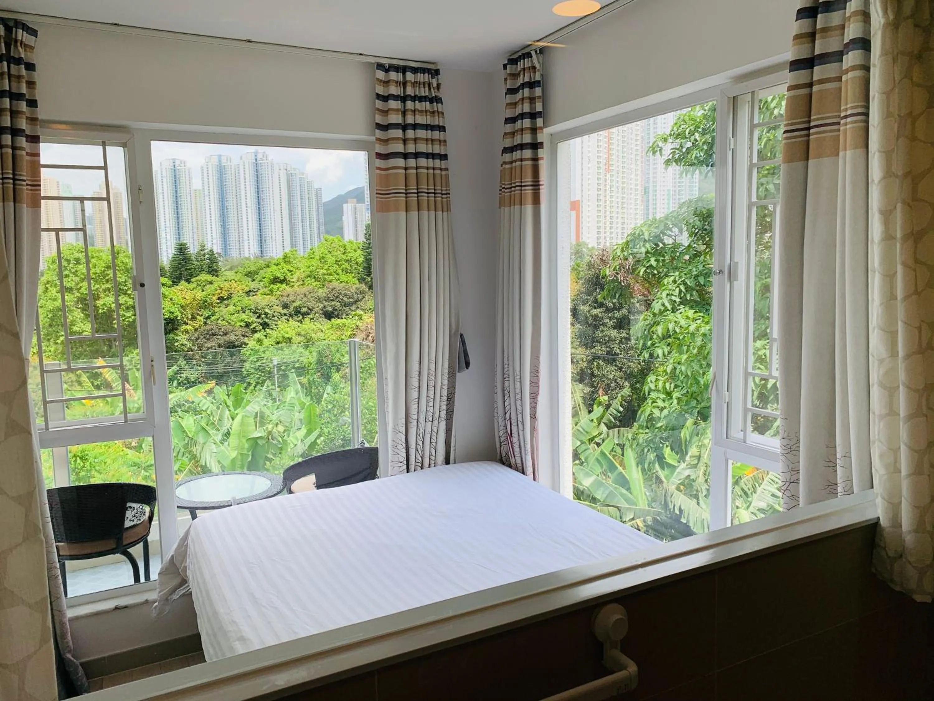 Garden view, Bed in City Oasis Guesthouse