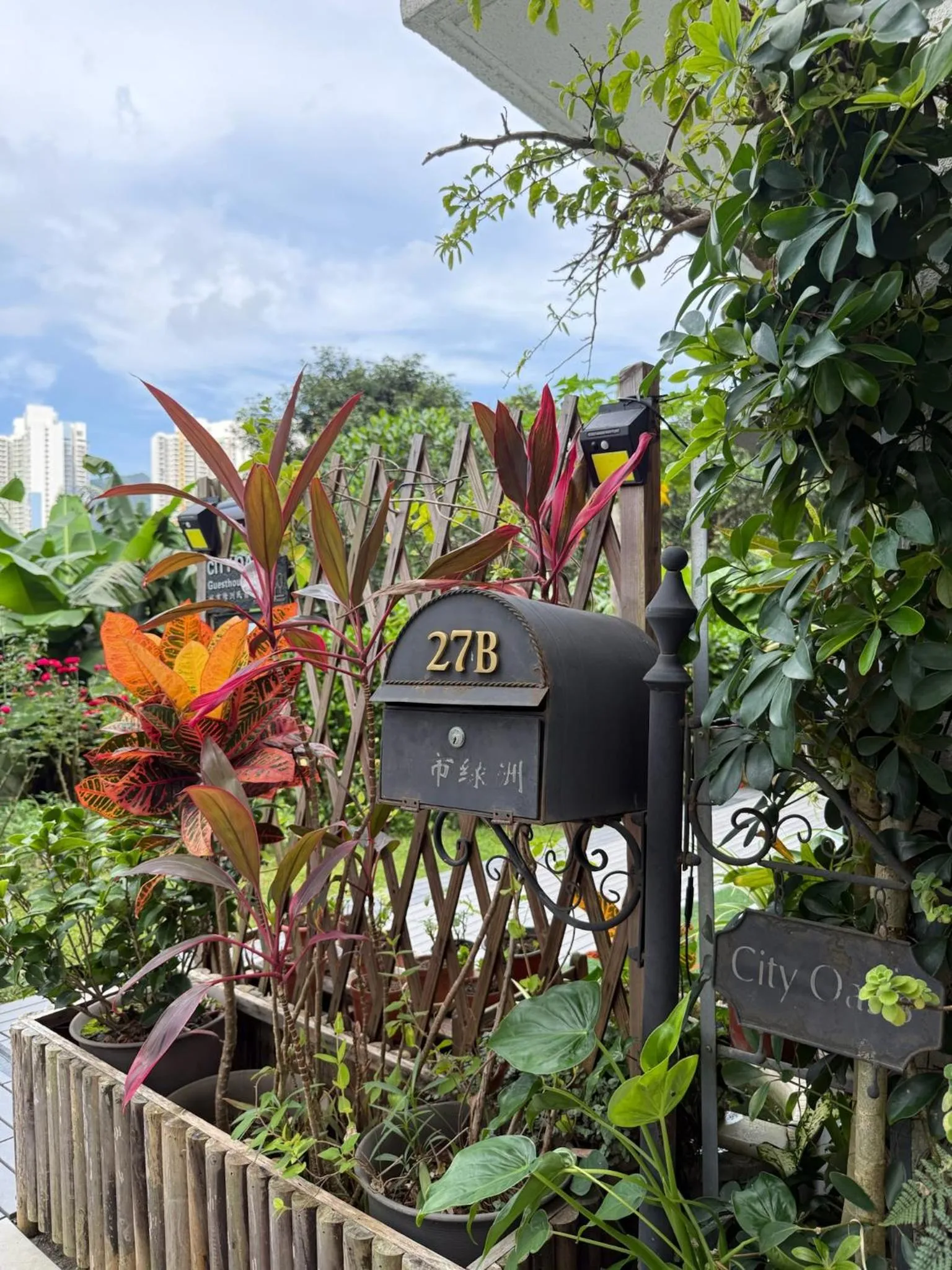 City Oasis Guesthouse