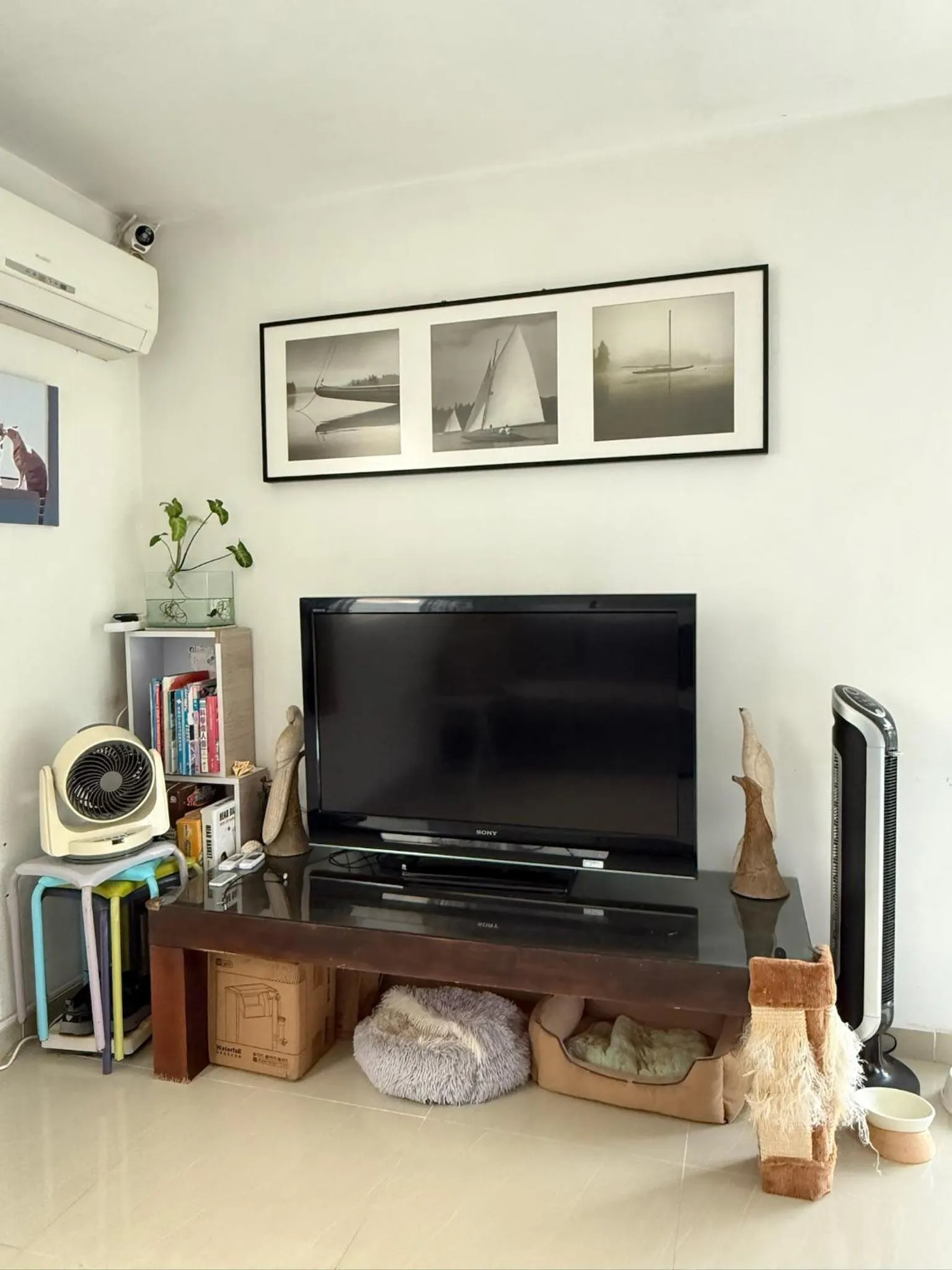 City Oasis Guesthouse