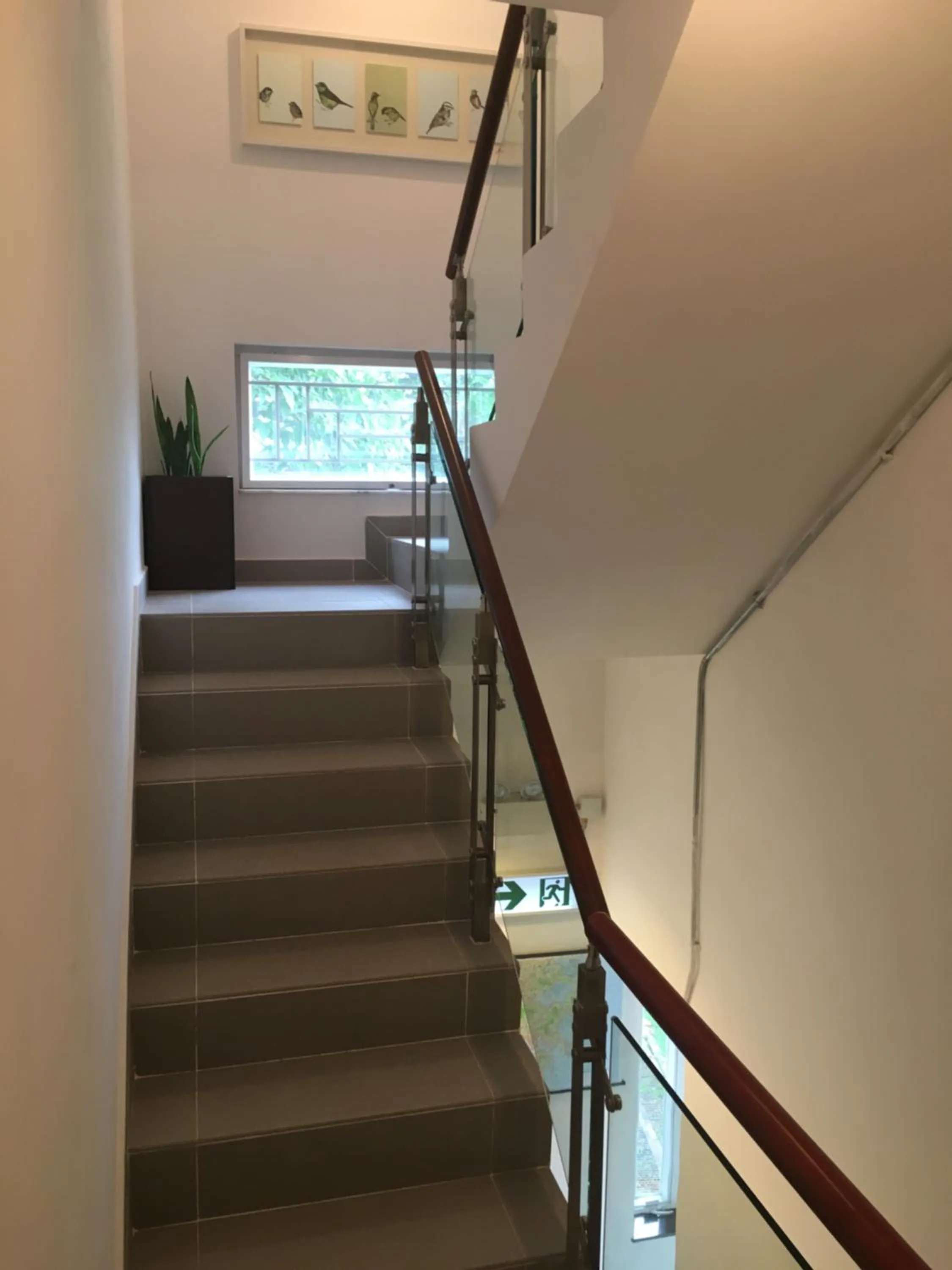 Facade/entrance in City Oasis Guesthouse