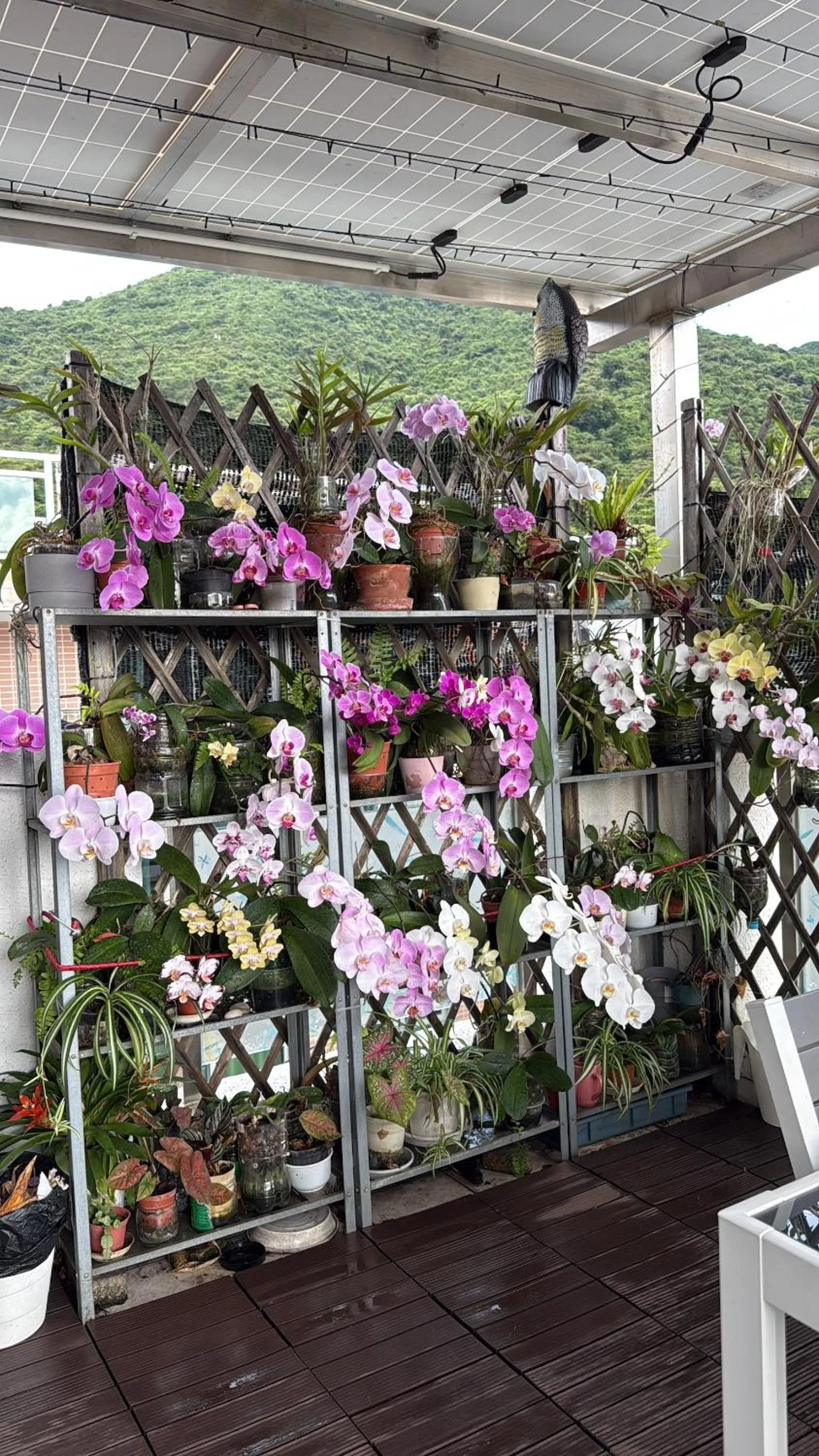 City Oasis Guesthouse