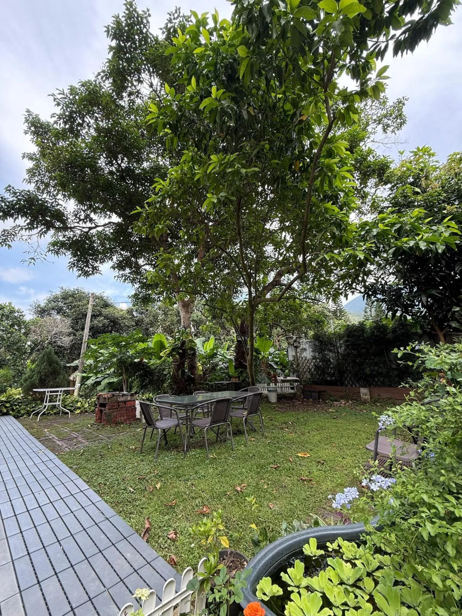 City Oasis Guesthouse