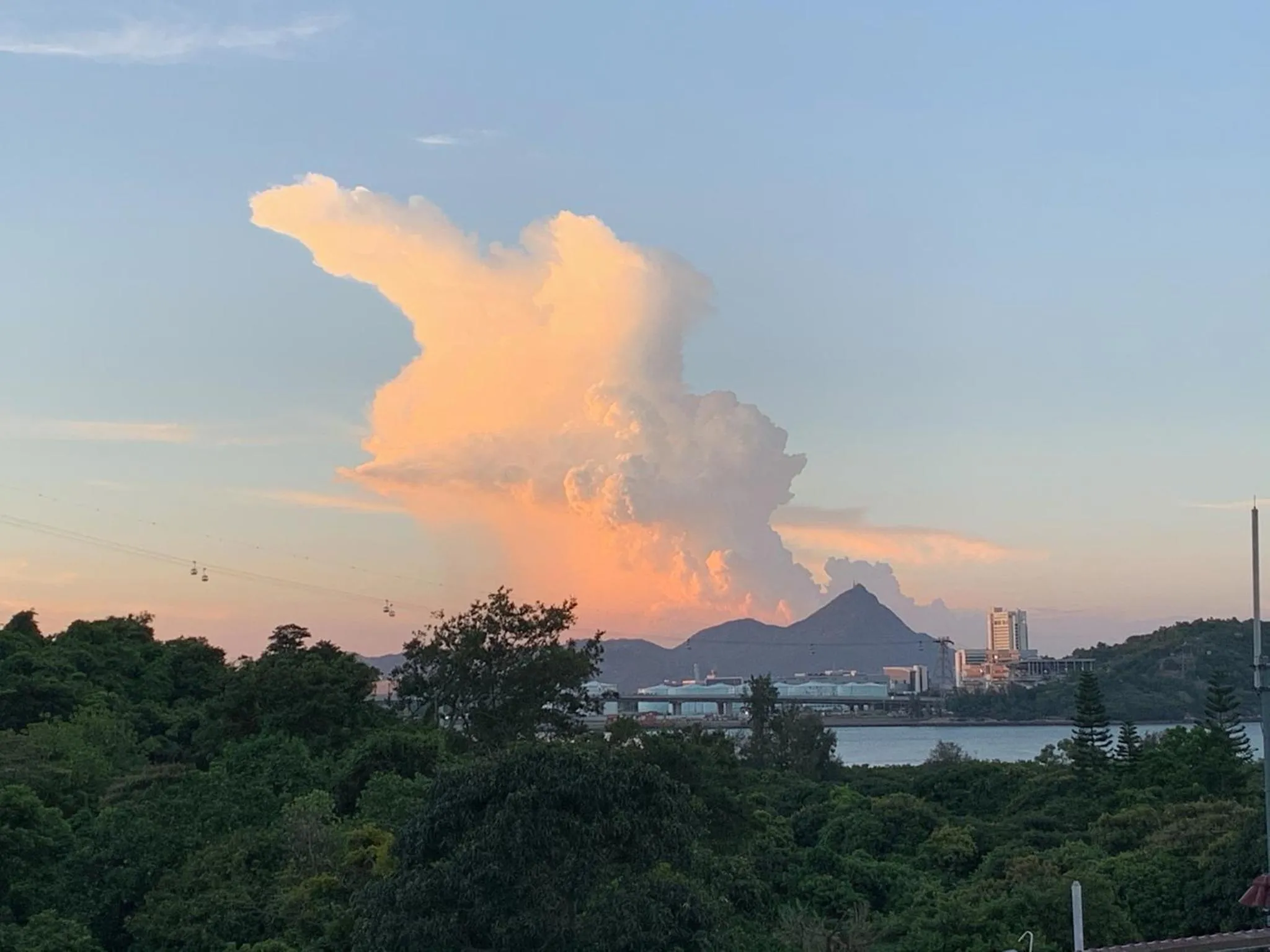 City Oasis Guesthouse