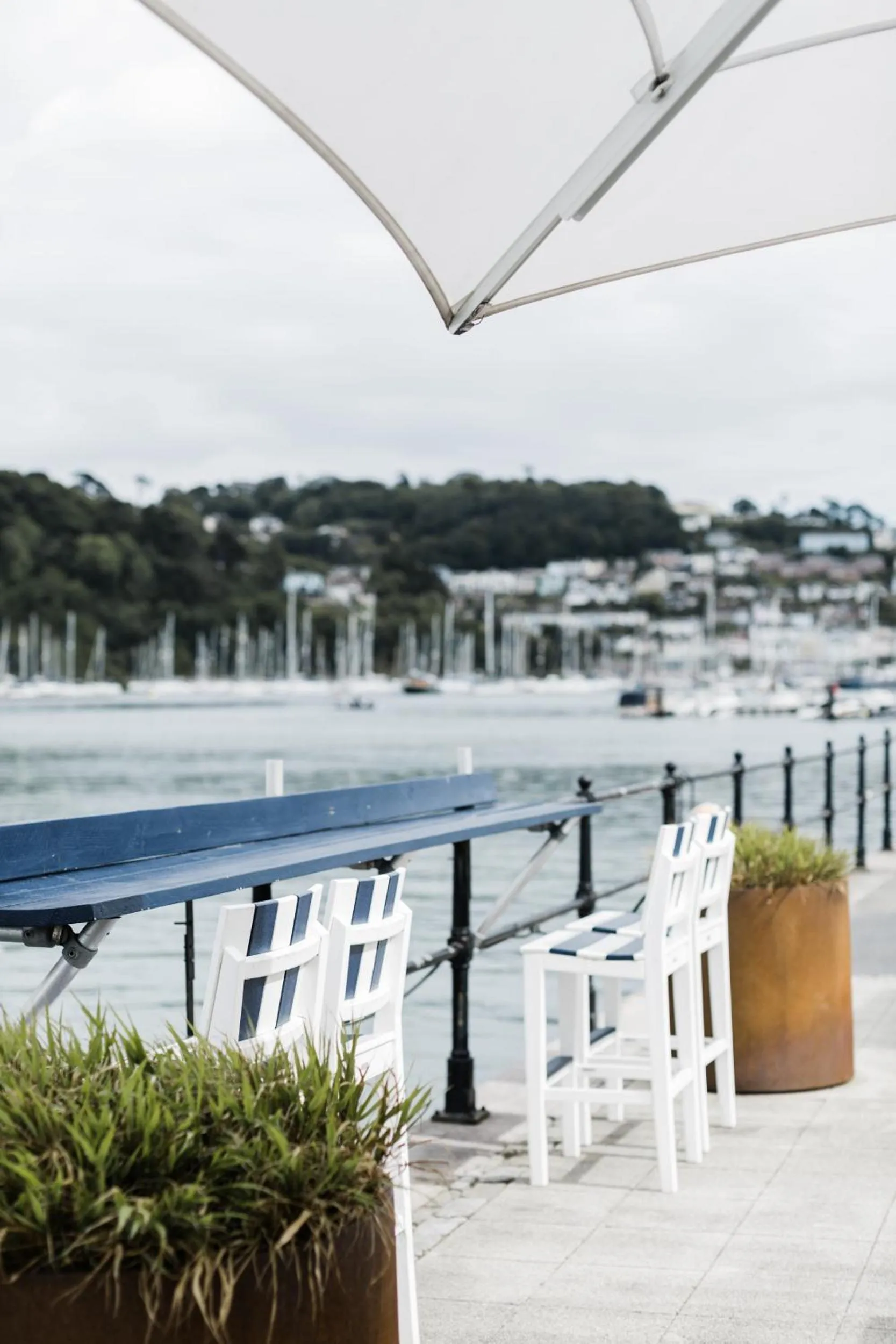 Natural landscape in Dart Marina Hotel