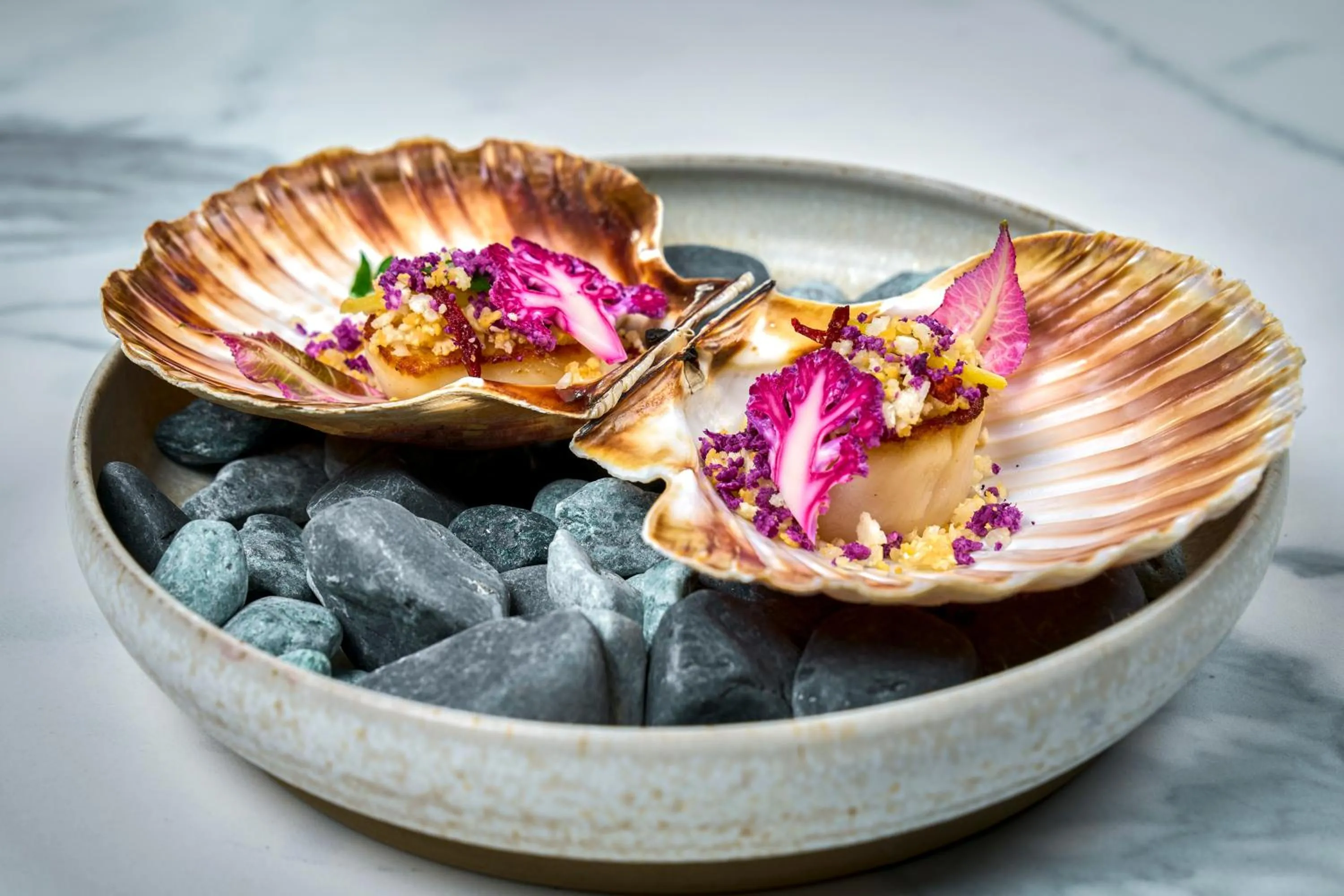 Restaurant/places to eat in Hôtel Baud - Teritoria