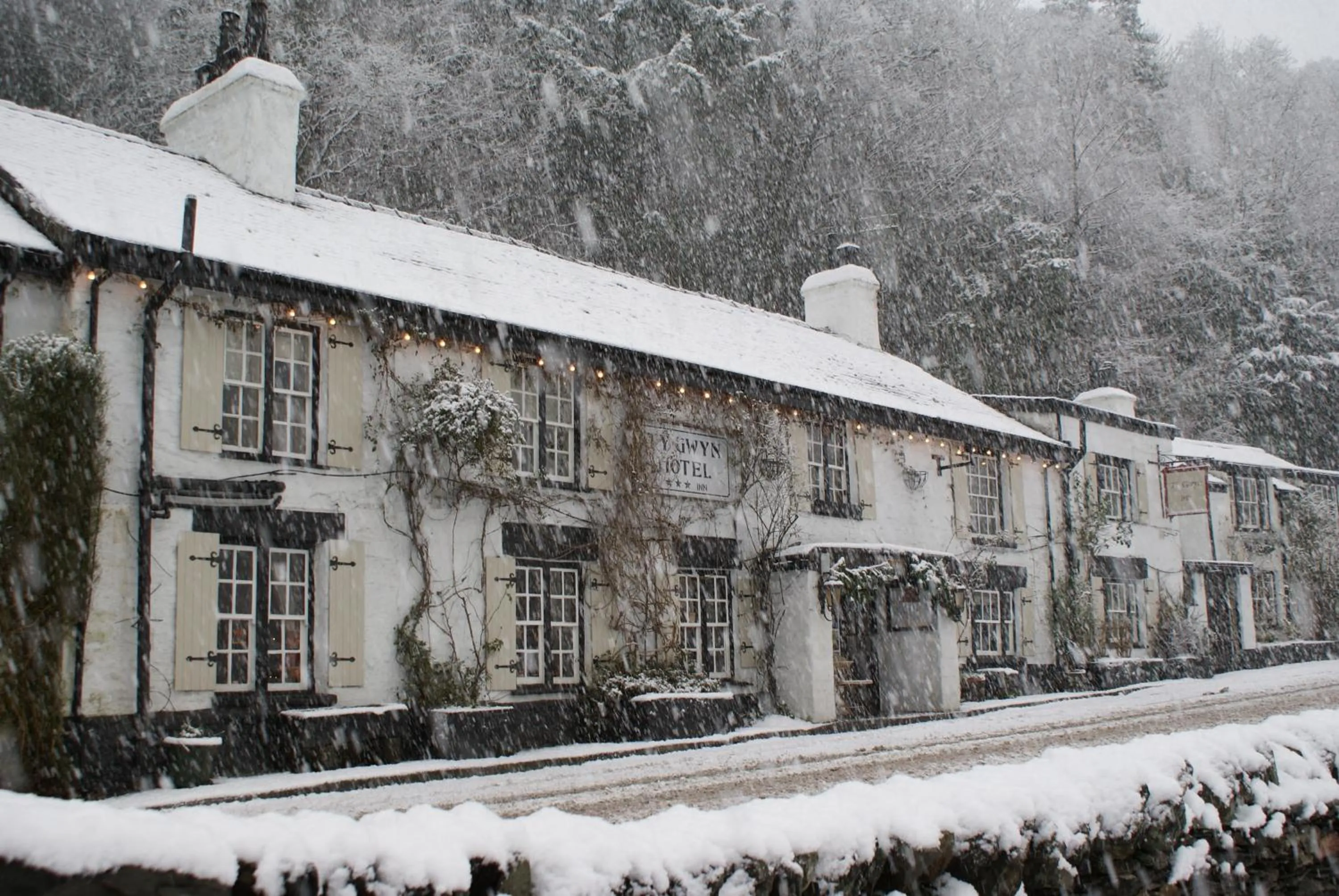 Facade/entrance in Ty Gwyn Hotel
