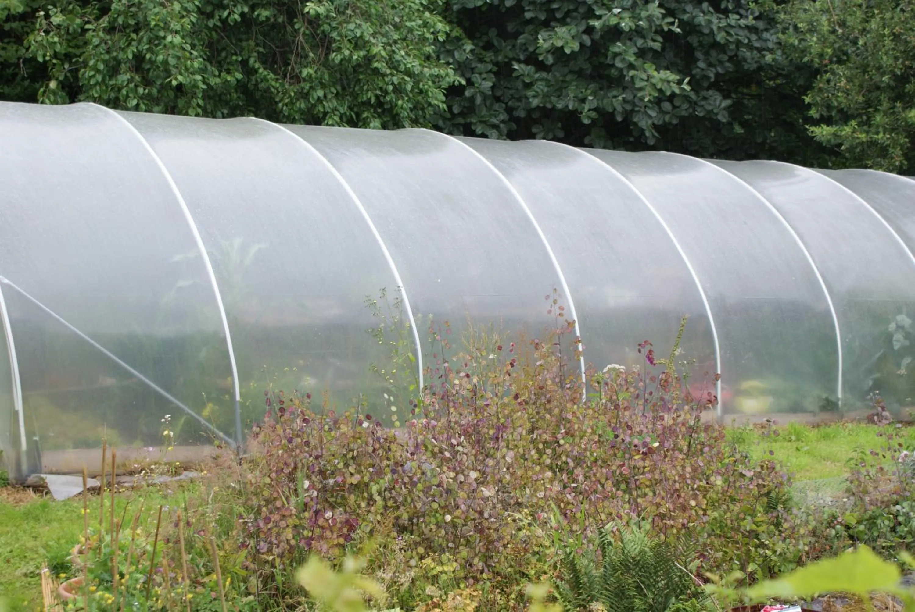 Other in Ty Gwyn Hotel