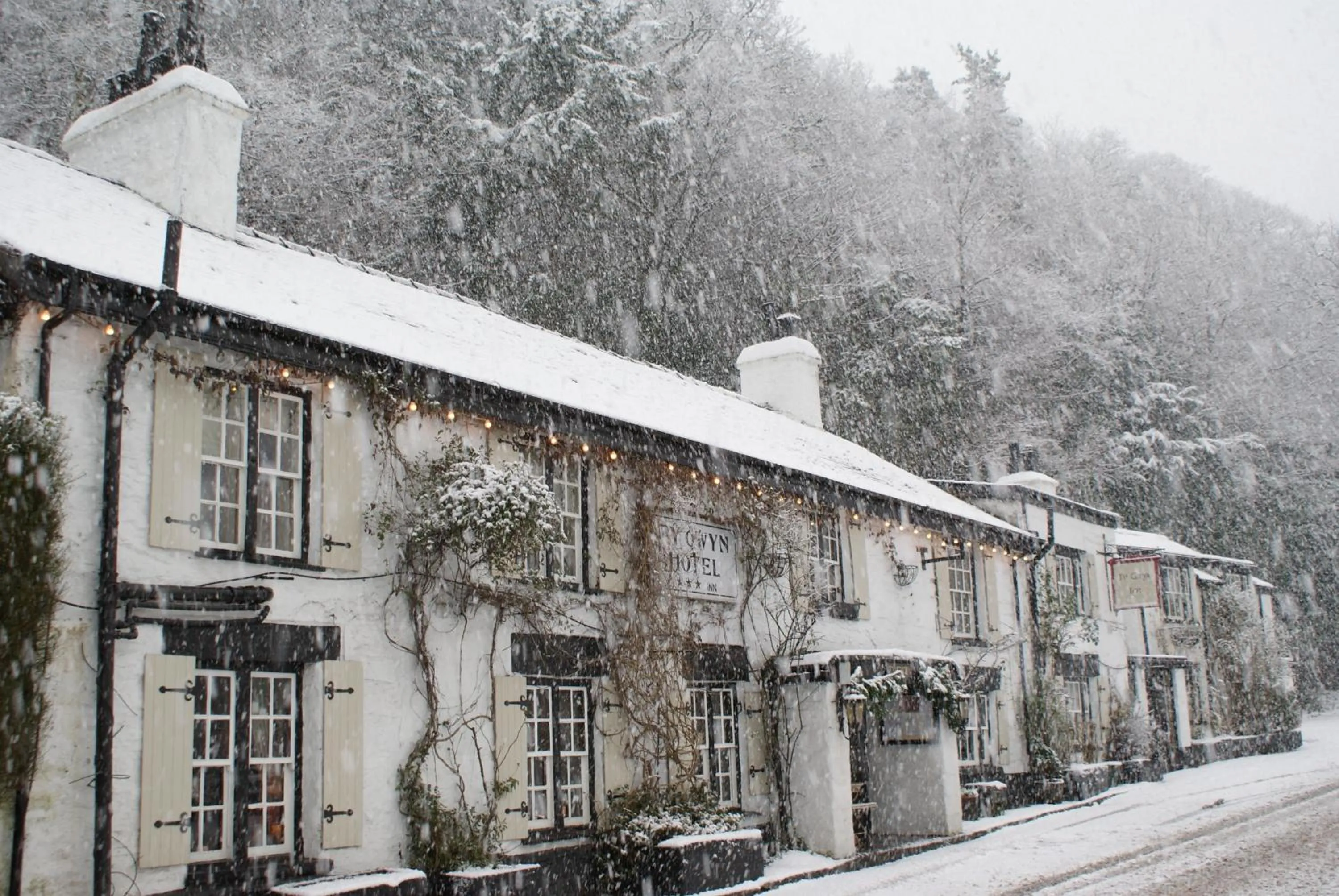 Facade/entrance in Ty Gwyn Hotel