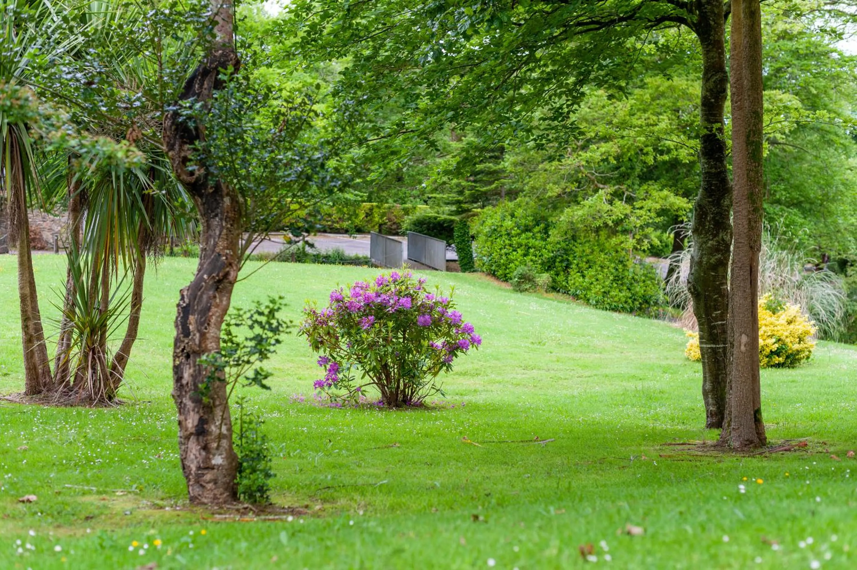 Property building in Westlodge Hotel & Leisure Centre