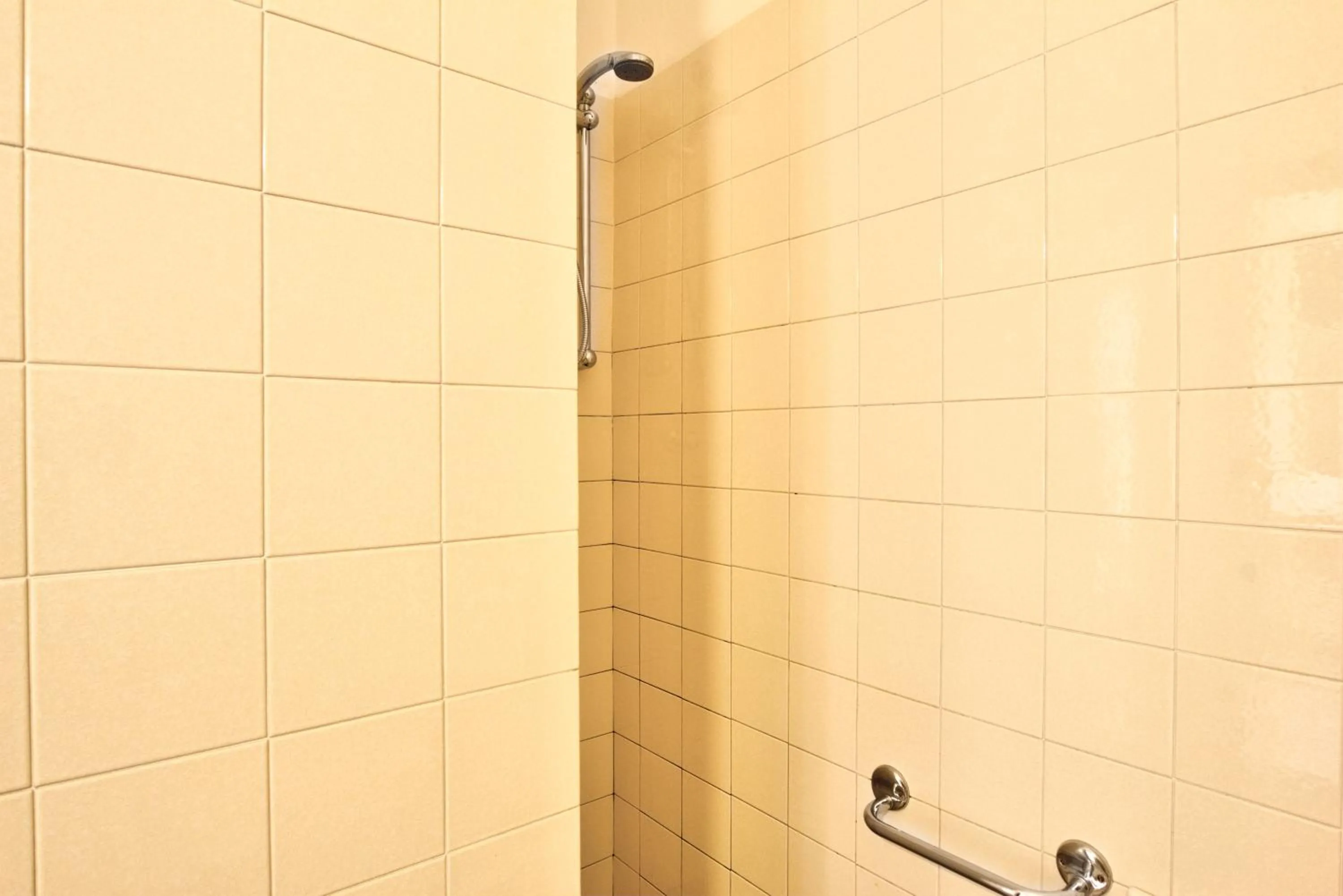 Shower in Hotel Happy