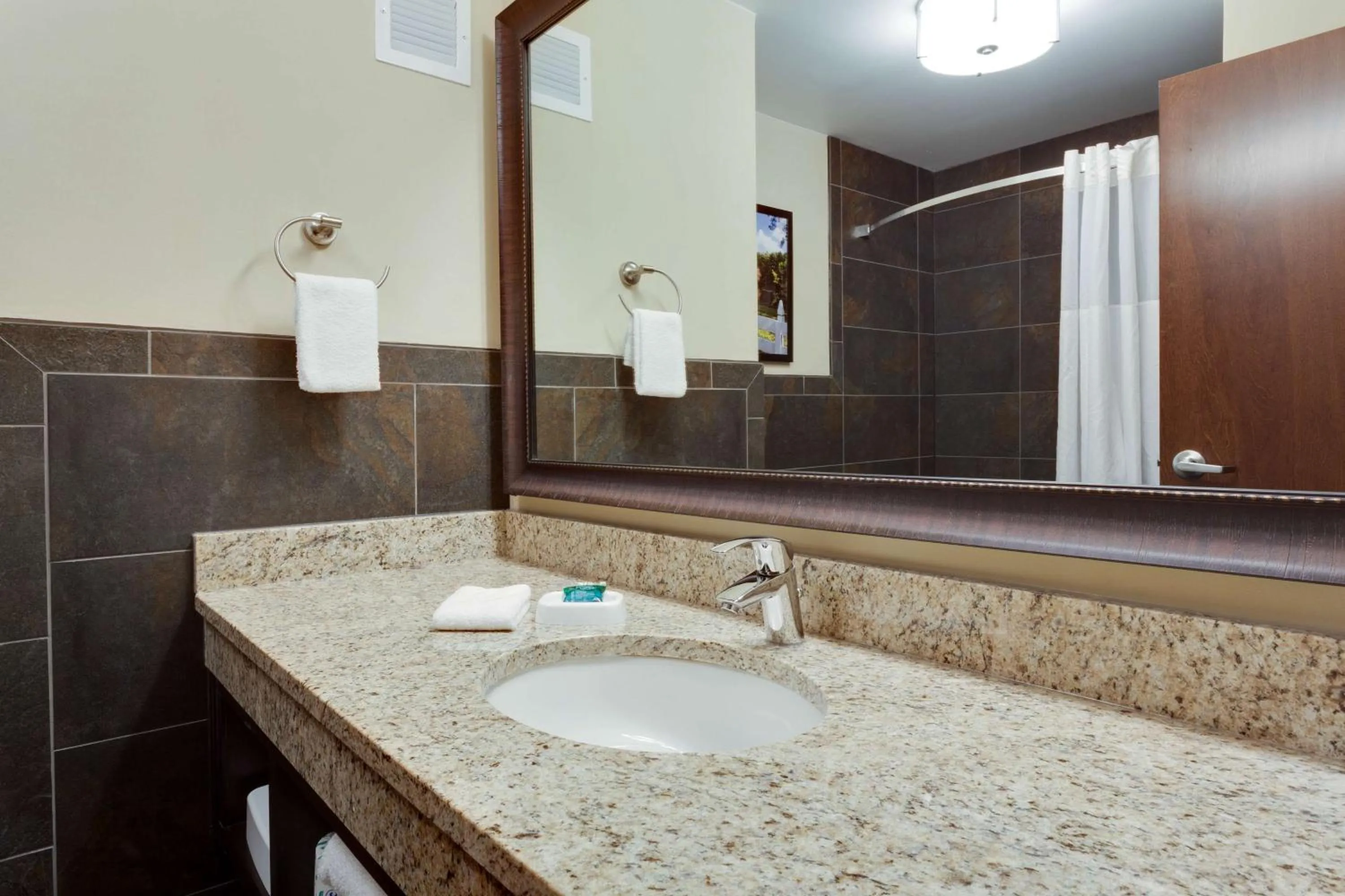 Bathroom in Drury Inn & Suites Dallas Frisco