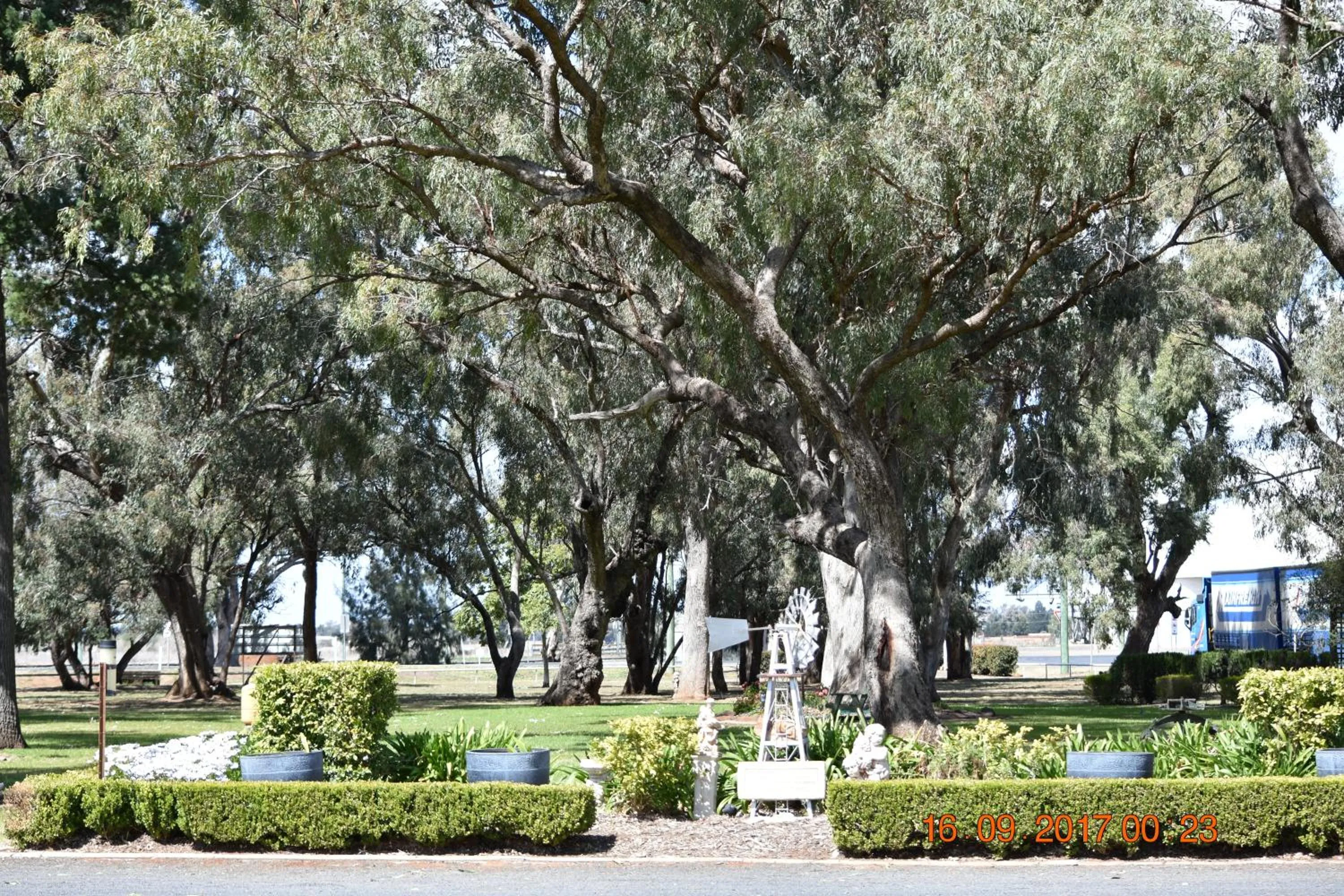 View (from property/room) in Cooee Motel