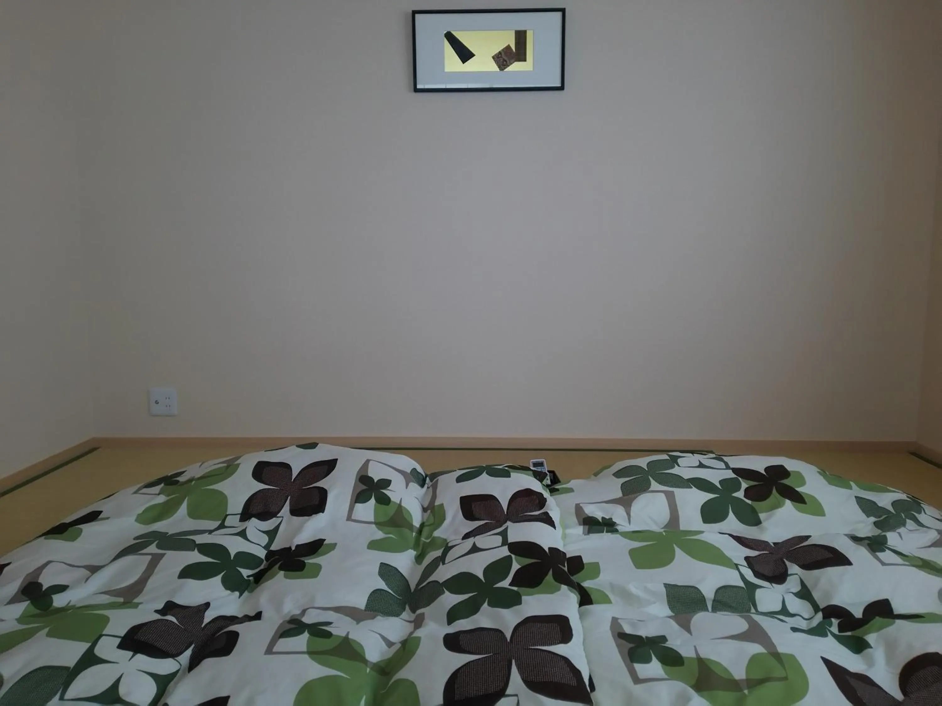 Photo of the whole room, Bed in Guest House Aoi Nakamoto