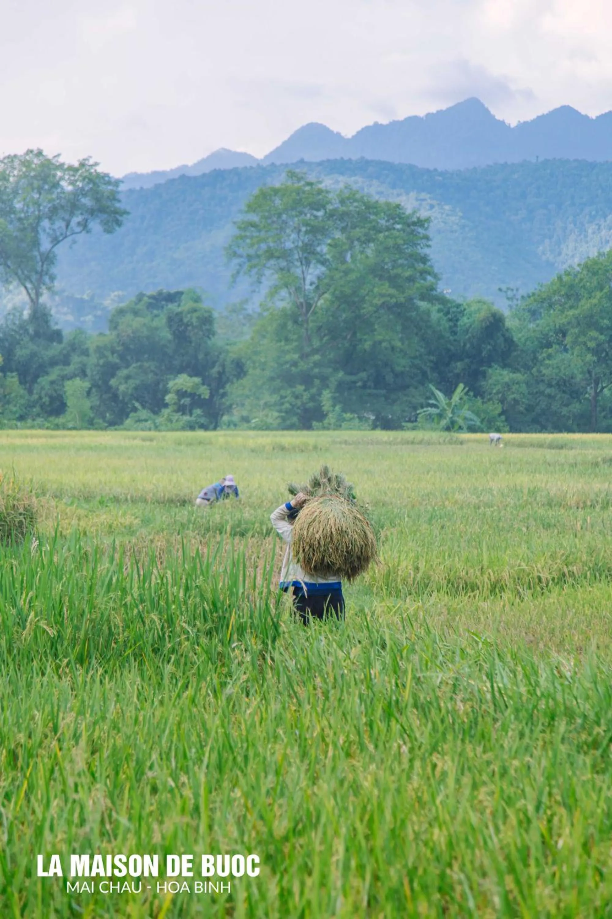 Spring in La Maison De Buoc