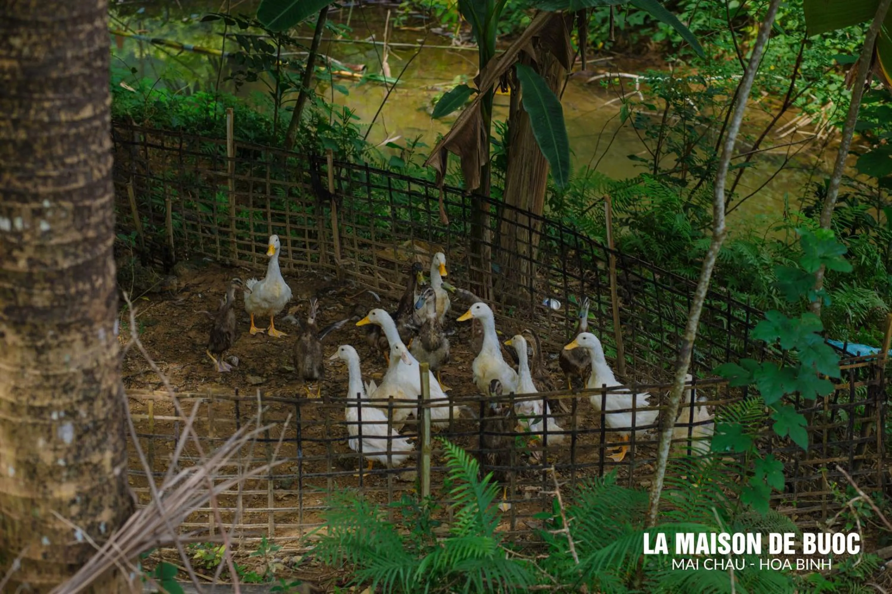 Day in La Maison De Buoc