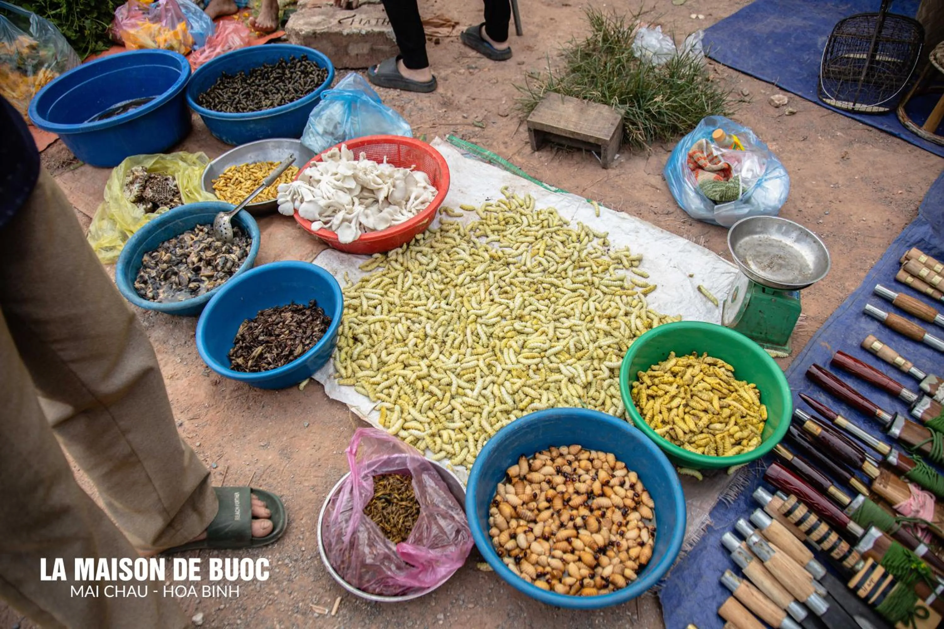 Food and drinks in La Maison De Buoc